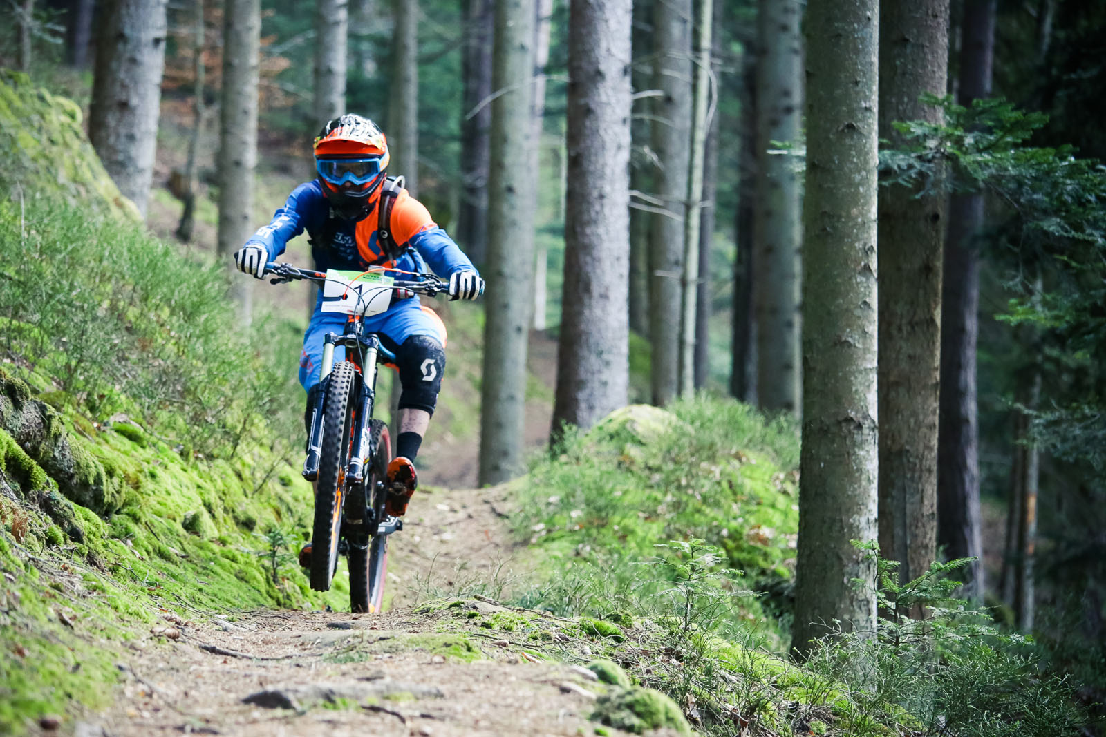 Cannondale Enduro Tour 2015 Dabo