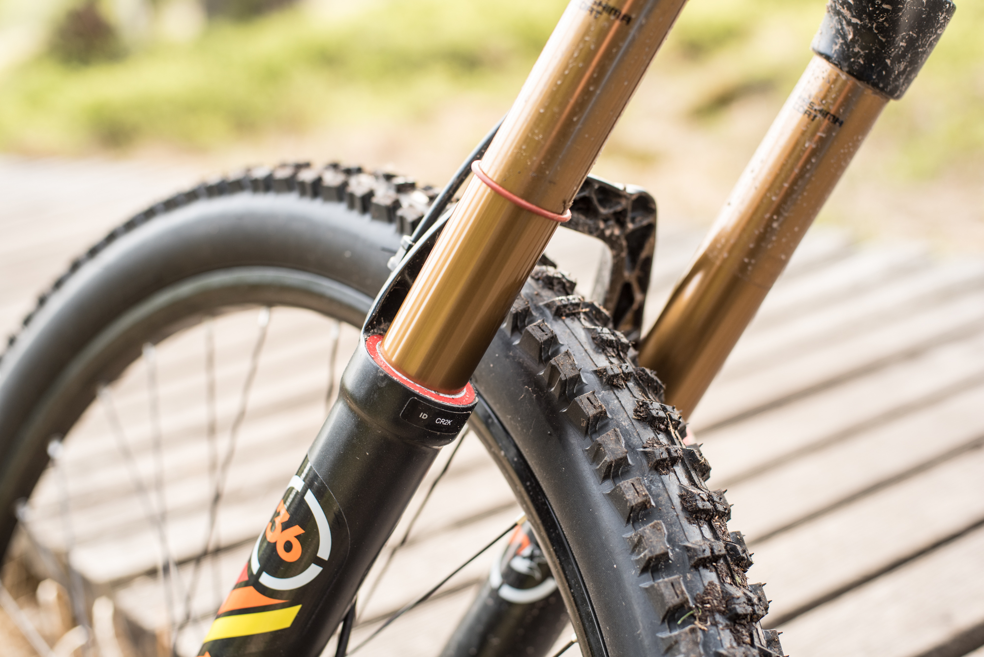 Dämpferklinik Sentinel