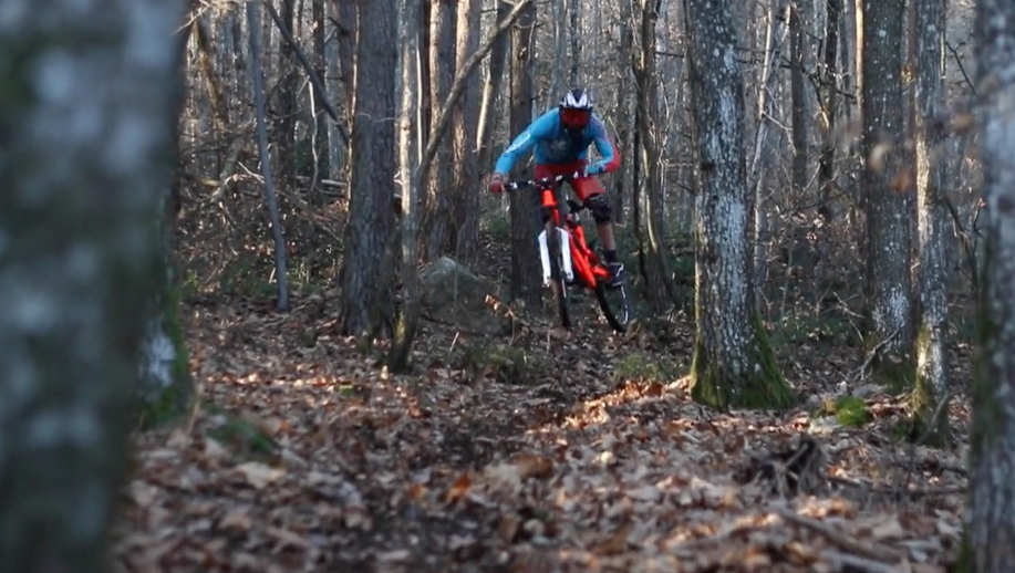 Whip & Whip - Benoit Coulanges