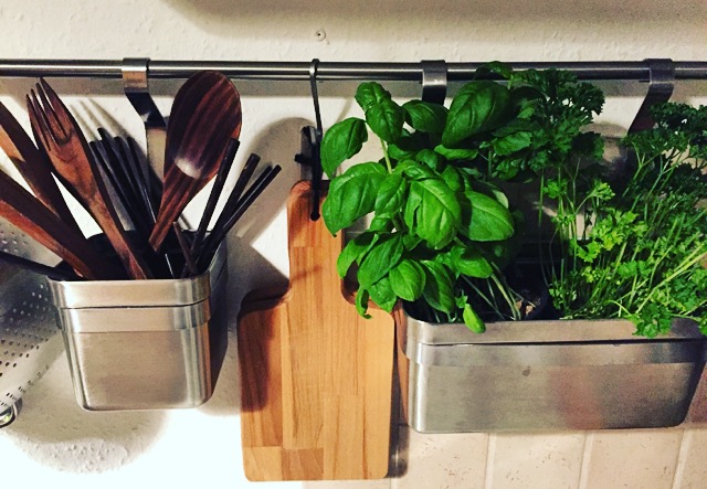 Fit durch den Winter mit dem deutschen Meister - Teil 1