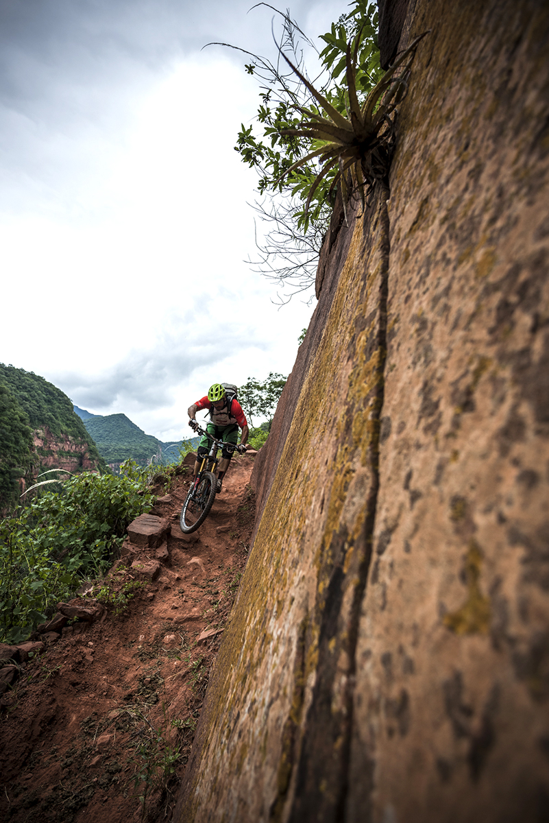 Milner_ARG0141820 copy