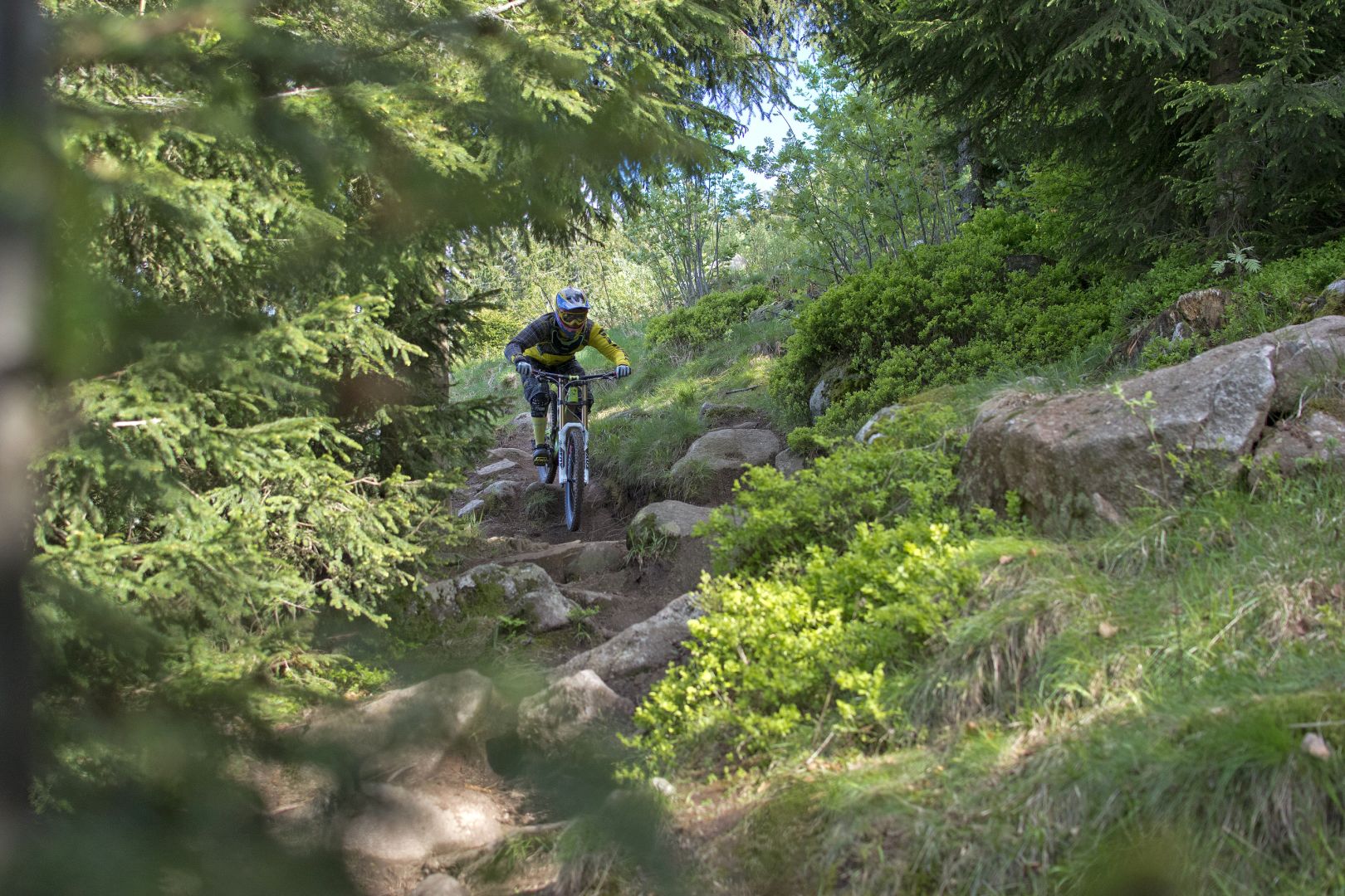 Triberg Reisen 2016 - Bikepark Tour