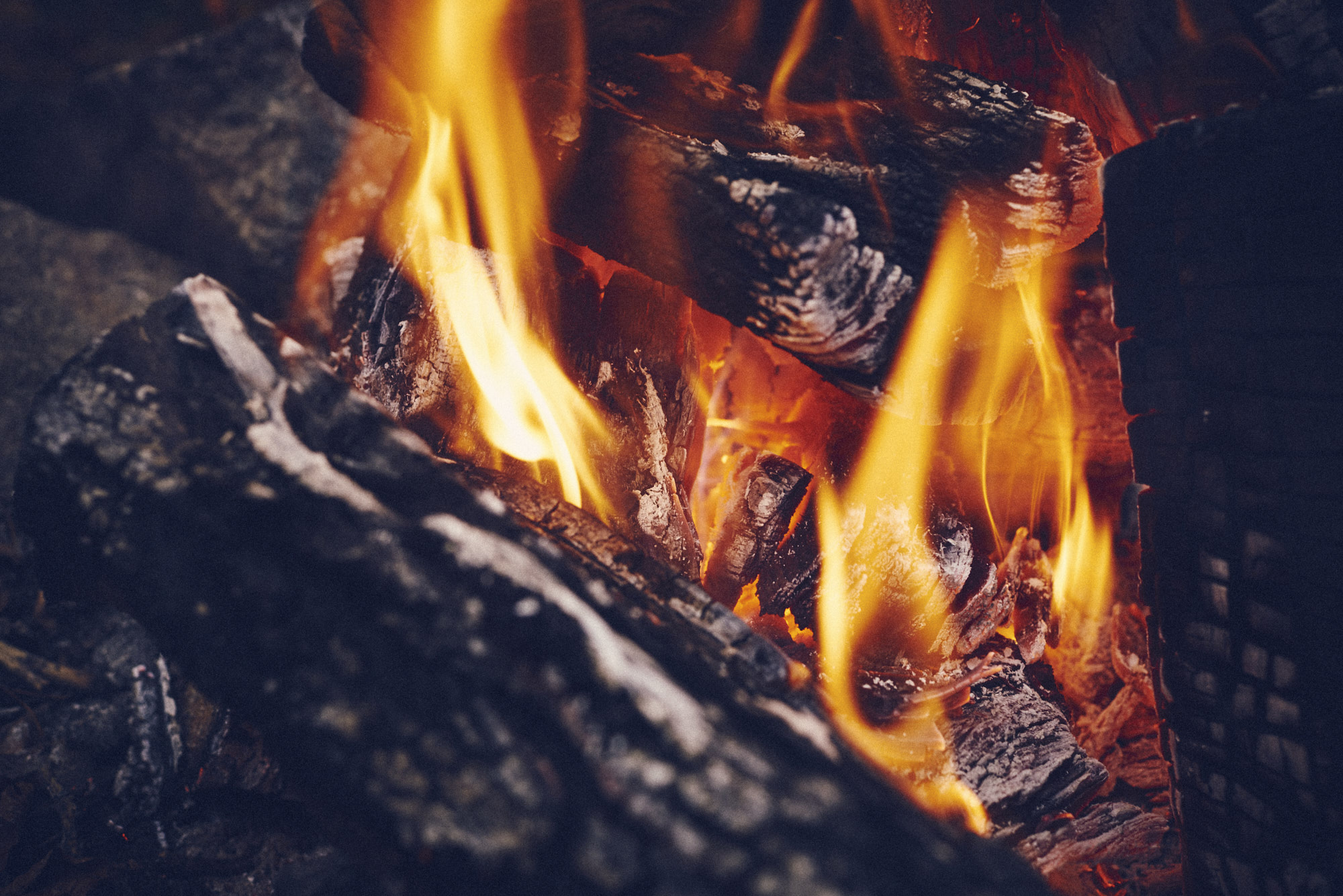 paul_masukowitz_15-10-23paul_masukowitz_15-10-23_DSC9533 Photo @ Paul Masukowitz