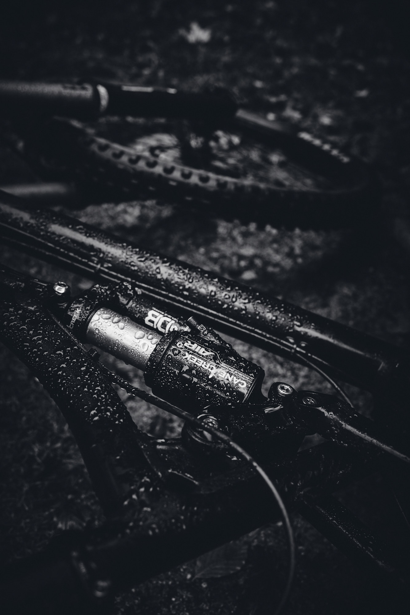 paul_masukowitz_15-10-23paul_masukowitz_15-10-23_DSC9547