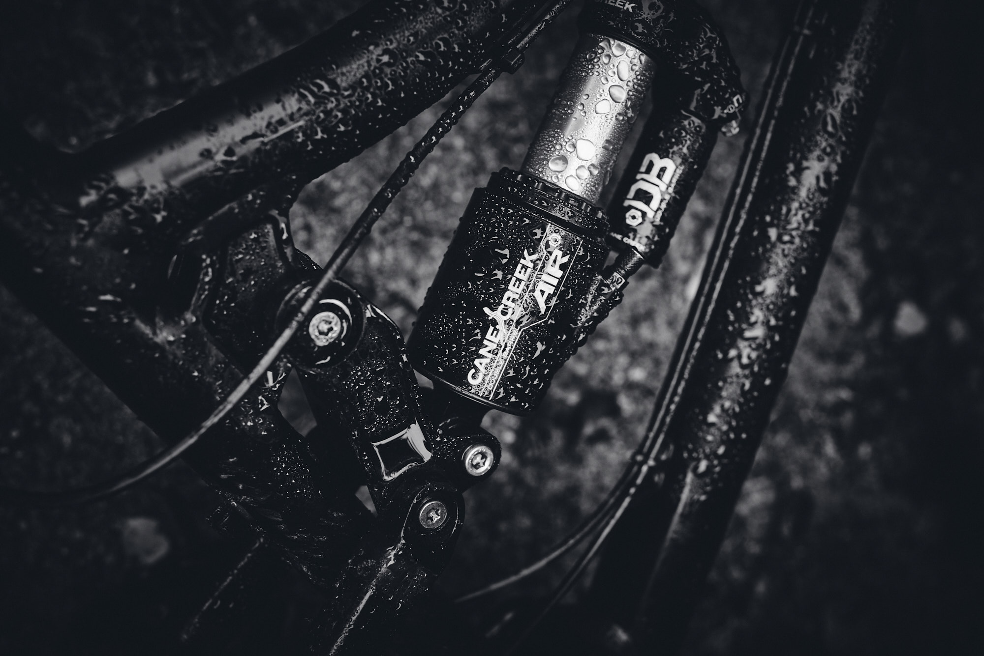 paul_masukowitz_15-10-23paul_masukowitz_15-10-23_DSC9549