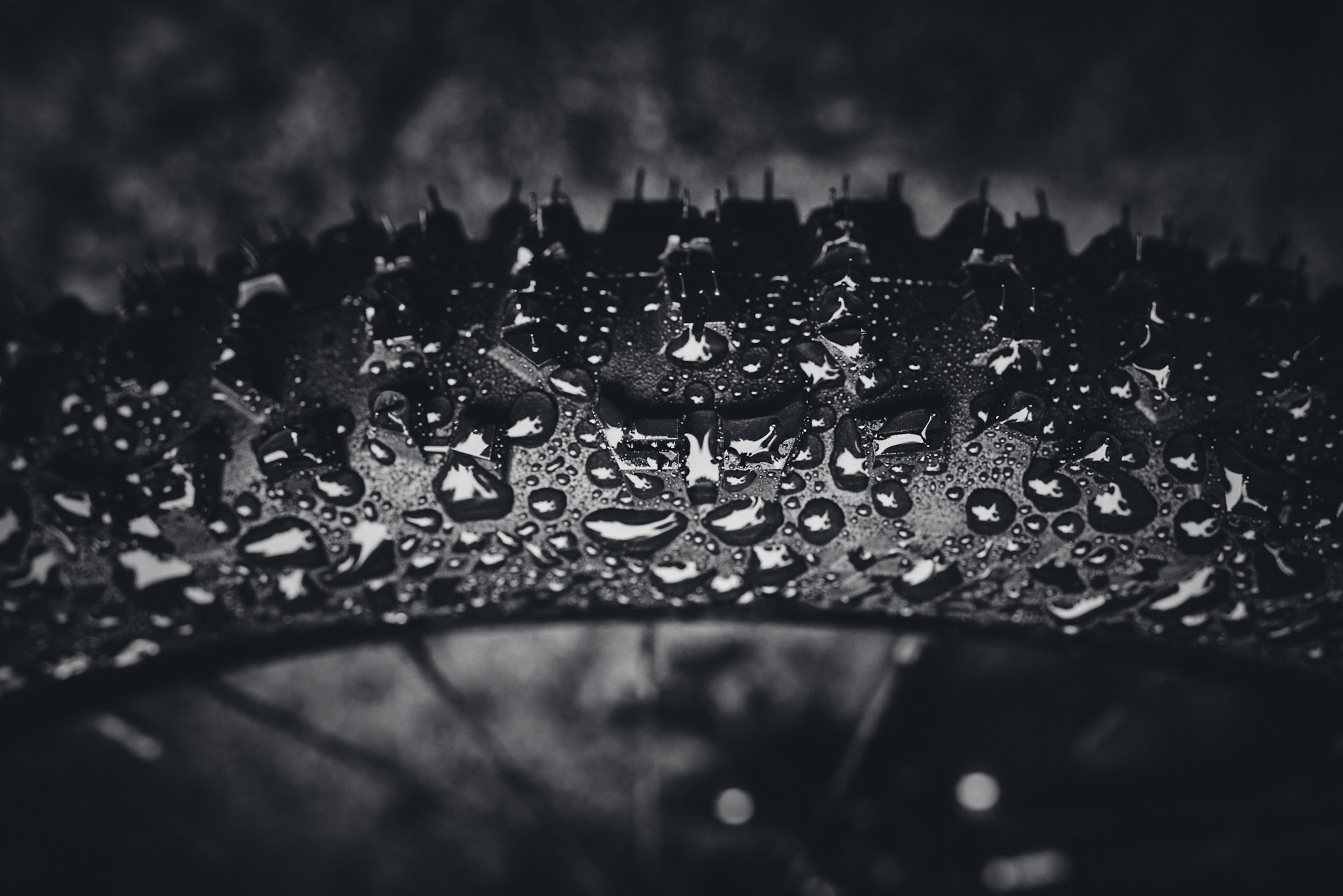 paul_masukowitz_15-10-23paul_masukowitz_15-10-23_DSC9550