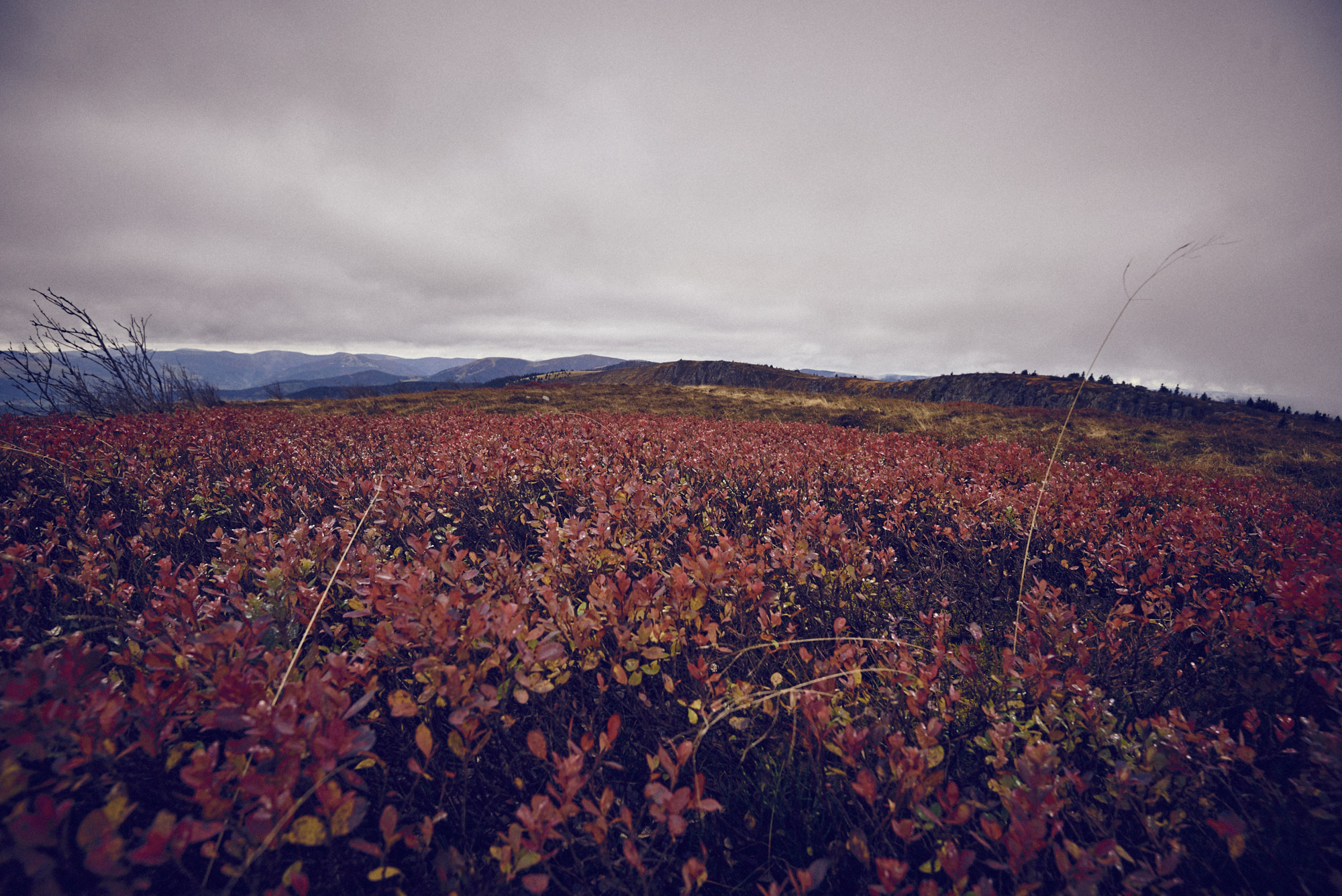 paul_masukowitz_15-10-23paul_masukowitz_15-10-23_DSC9575