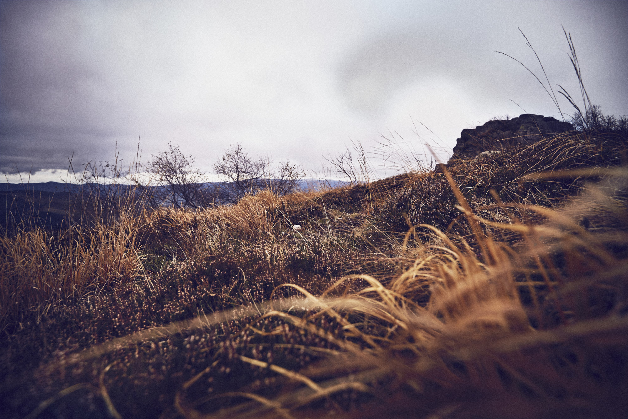 paul_masukowitz_15-10-23paul_masukowitz_15-10-23_DSC9615 Photo @ Paul Masukowitz