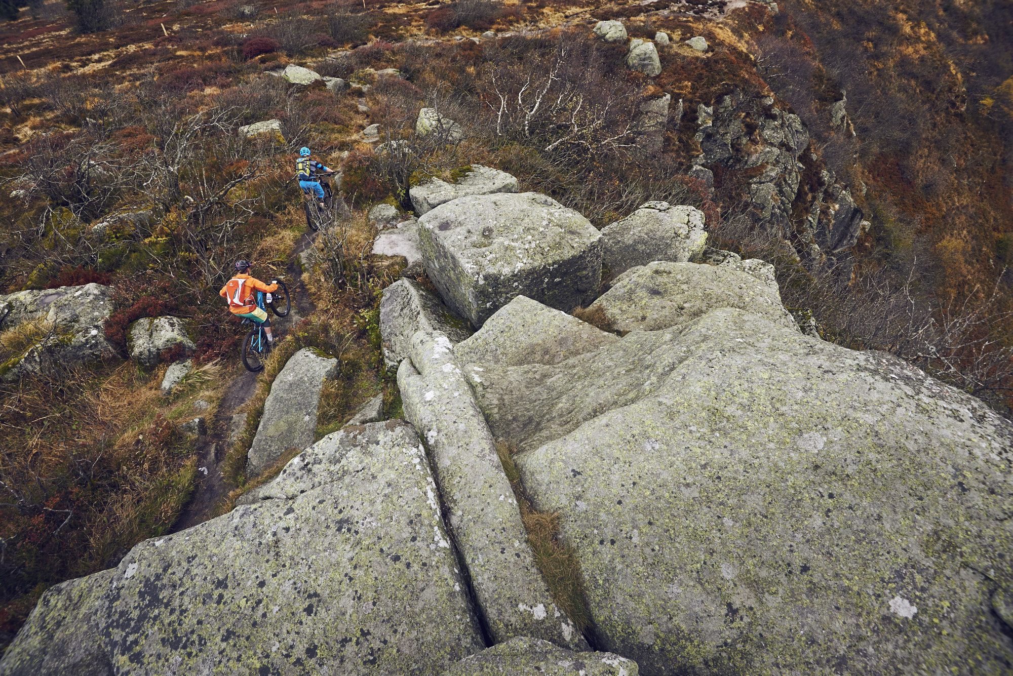 paul_masukowitz_15-10-23paul_masukowitz_15-10-23_DSC9687