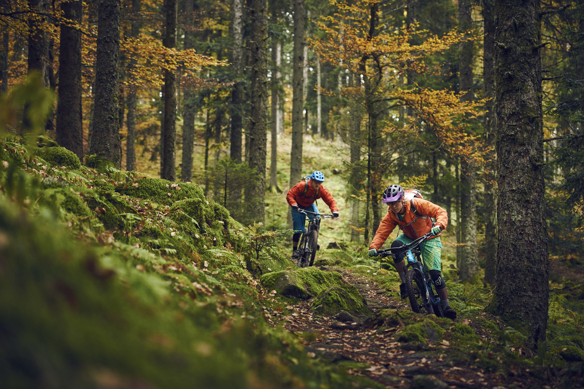 paul_masukowitz_15-10-23paul_masukowitz_15-10-23_DSC9710