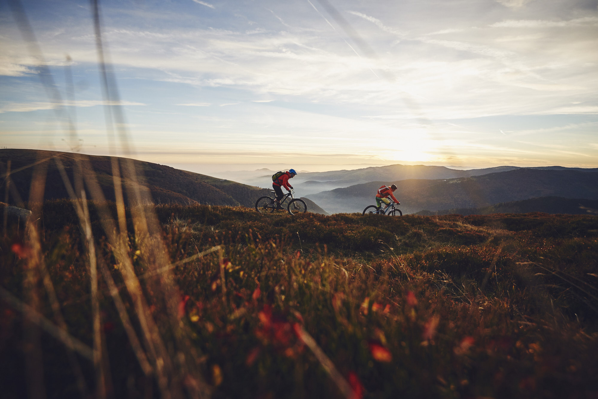 paul_masukowitz_15-10-24paul_masukowitz_15-10-24_DSC0110