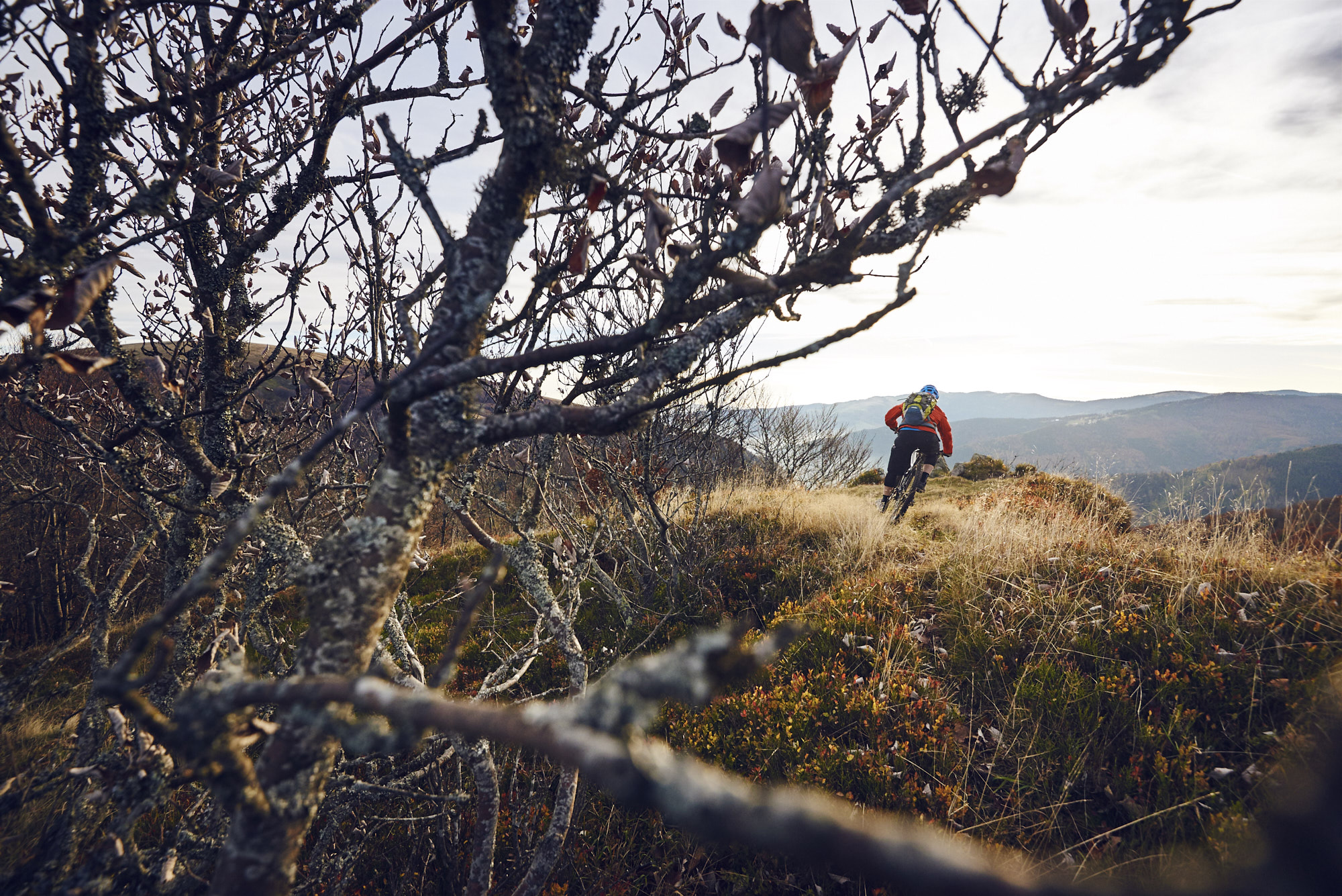 paul_masukowitz_15-10-24paul_masukowitz_15-10-24_DSC0411