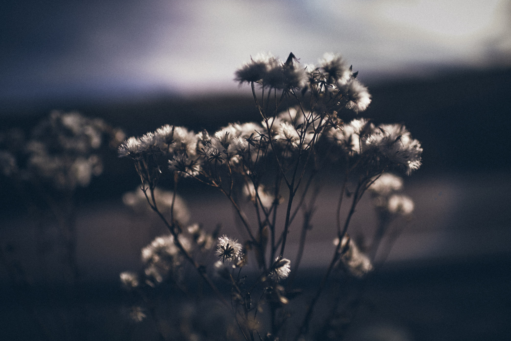 paul_masukowitz_15-10-24paul_masukowitz_15-10-24_DSC0680