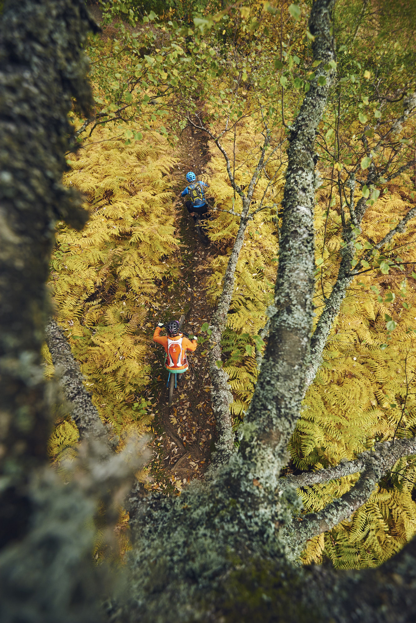 paul_masukowitz_15-10-24paul_masukowitz_15-10-24_DSC0786