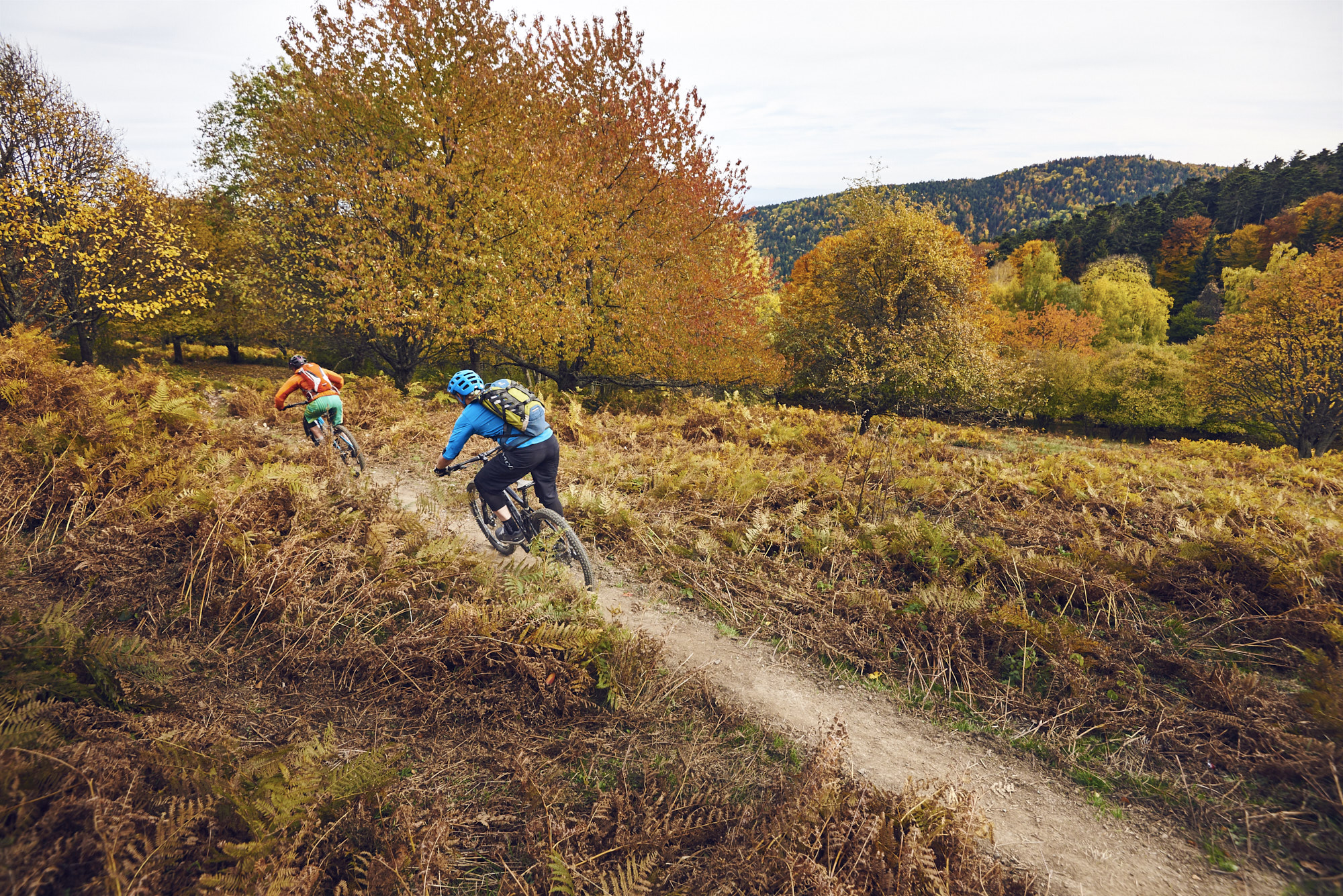 paul_masukowitz_15-10-24paul_masukowitz_15-10-24_DSC0846