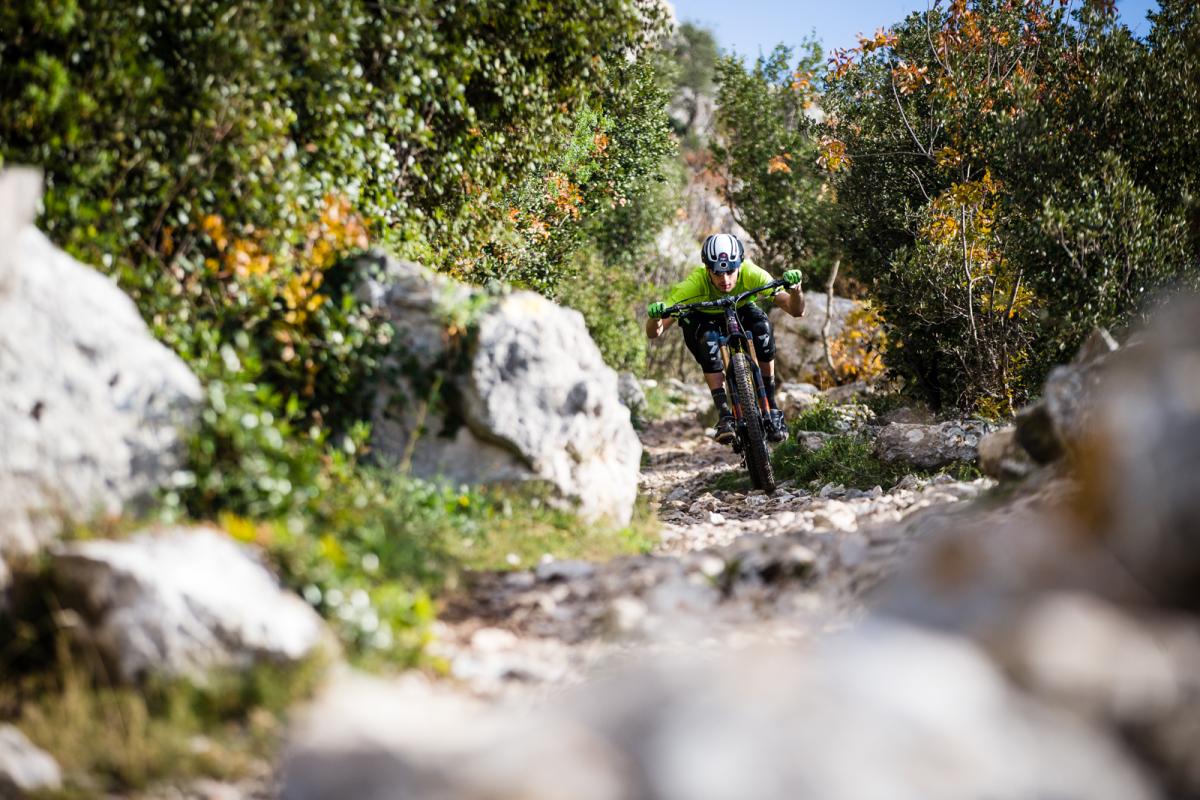 20151212_8975_mattwragg