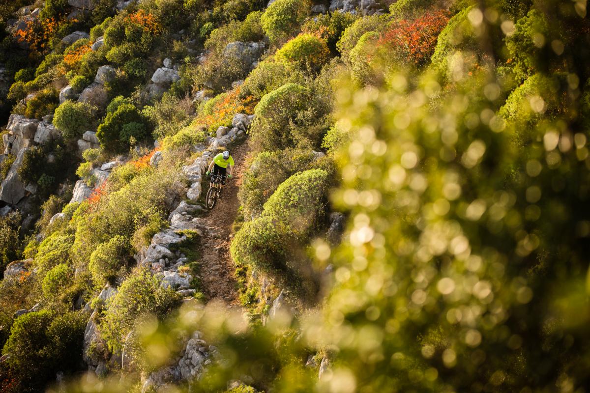 20151212_9215_mattwragg