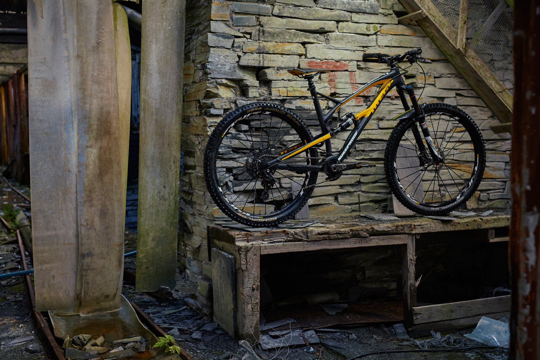 _MG_4410 Nukeproof Mega 290 Team