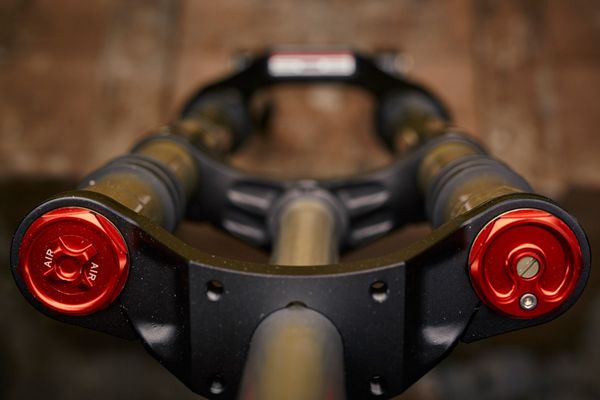 http---coresites-cdn.factorymedia.com-dirt_new-wp-content-uploads-2016-01-MG_3076-Bos-Idylle-Rare