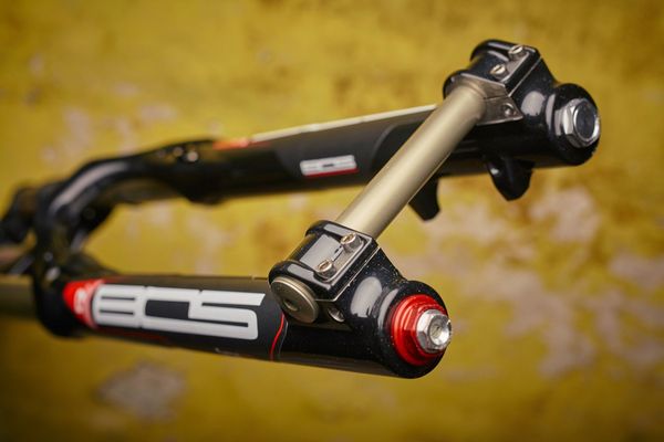 http---coresites-cdn.factorymedia.com-dirt_new-wp-content-uploads-2016-01-MG_3082-Bos-Idylle-Rare