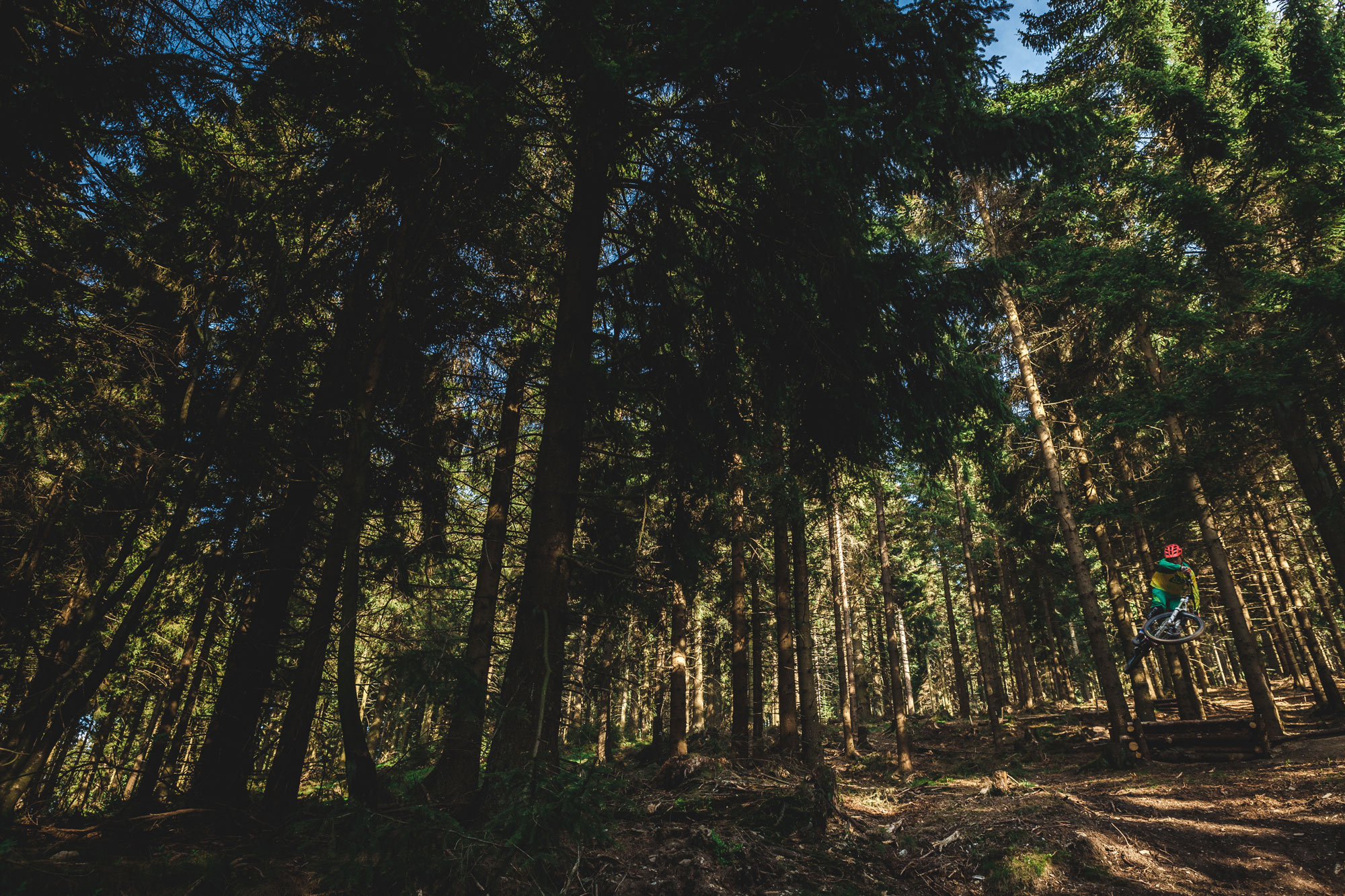 Foto von Malte Staupendahl
