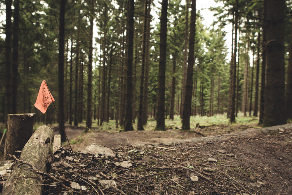 Foto von Malte Staupendahl