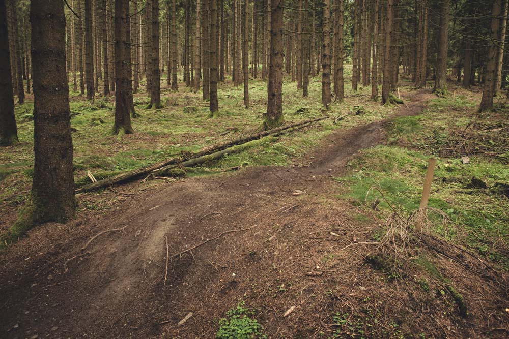 Foto von Malte Staupendahl