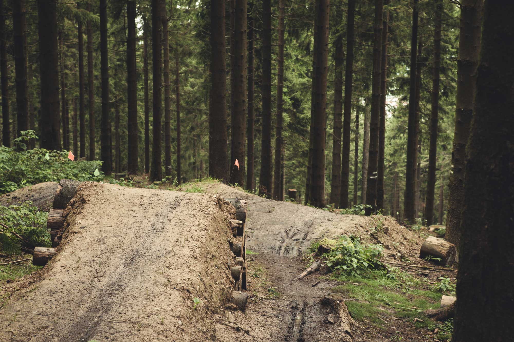 Foto von Malte Staupendahl