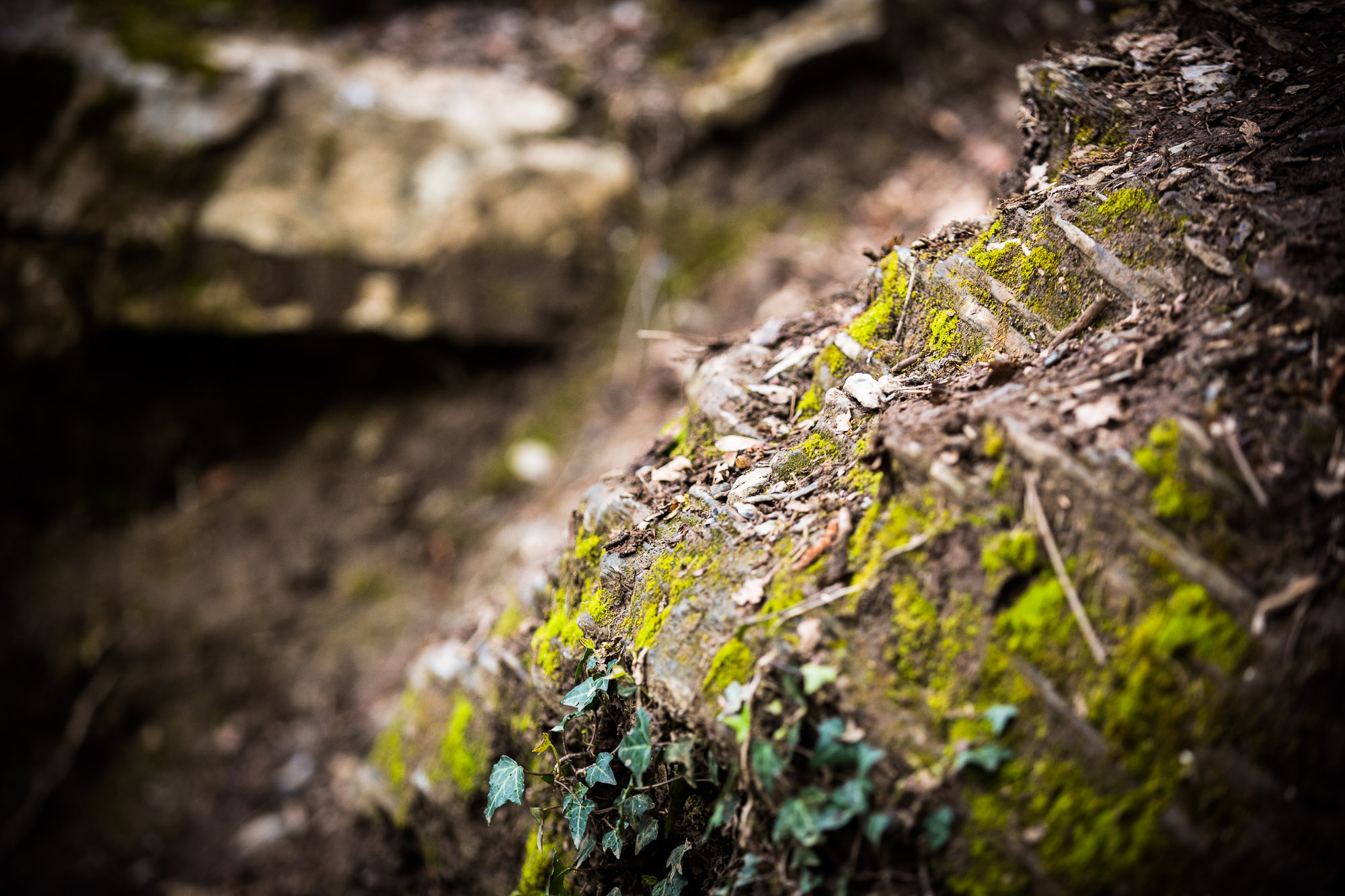 WC_Lourdes_2016_82A1375