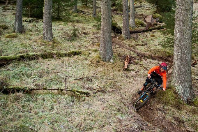 slice-british-pie-moynihan-blair-cathro-13