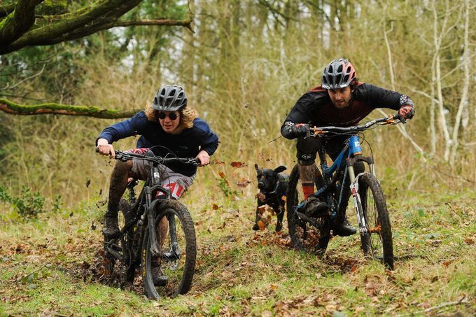 slice-british-pie-sam-dale-josh-lewis-10