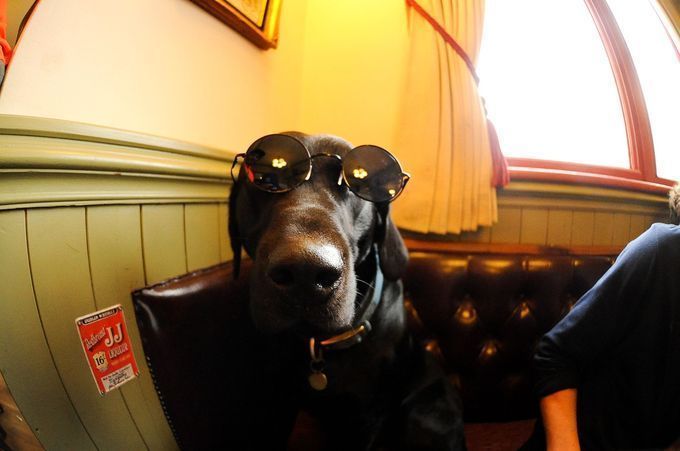 slice-british-pie-sam-dale-josh-lewis-3