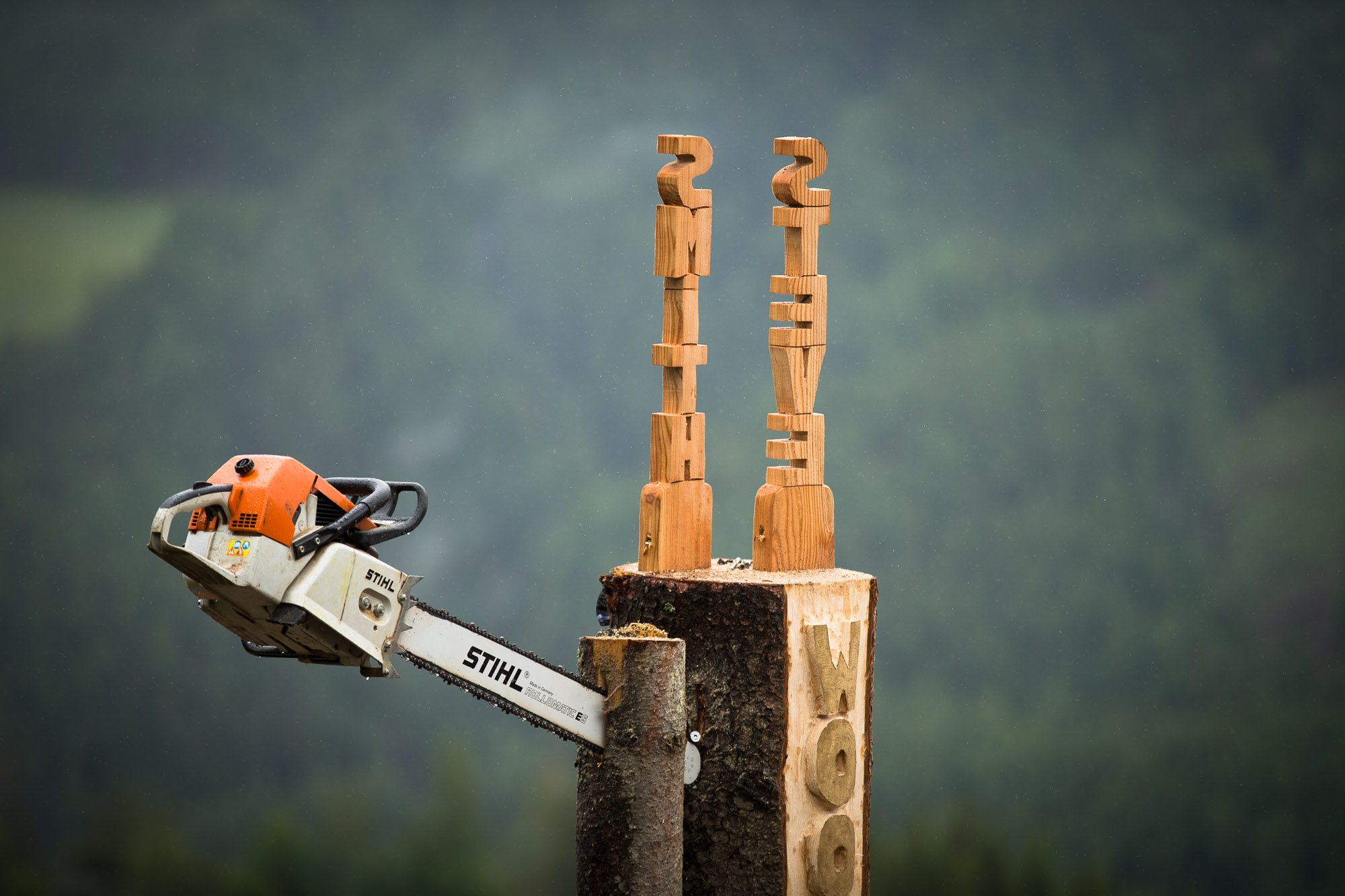 World Cup #4 Leogang 2016