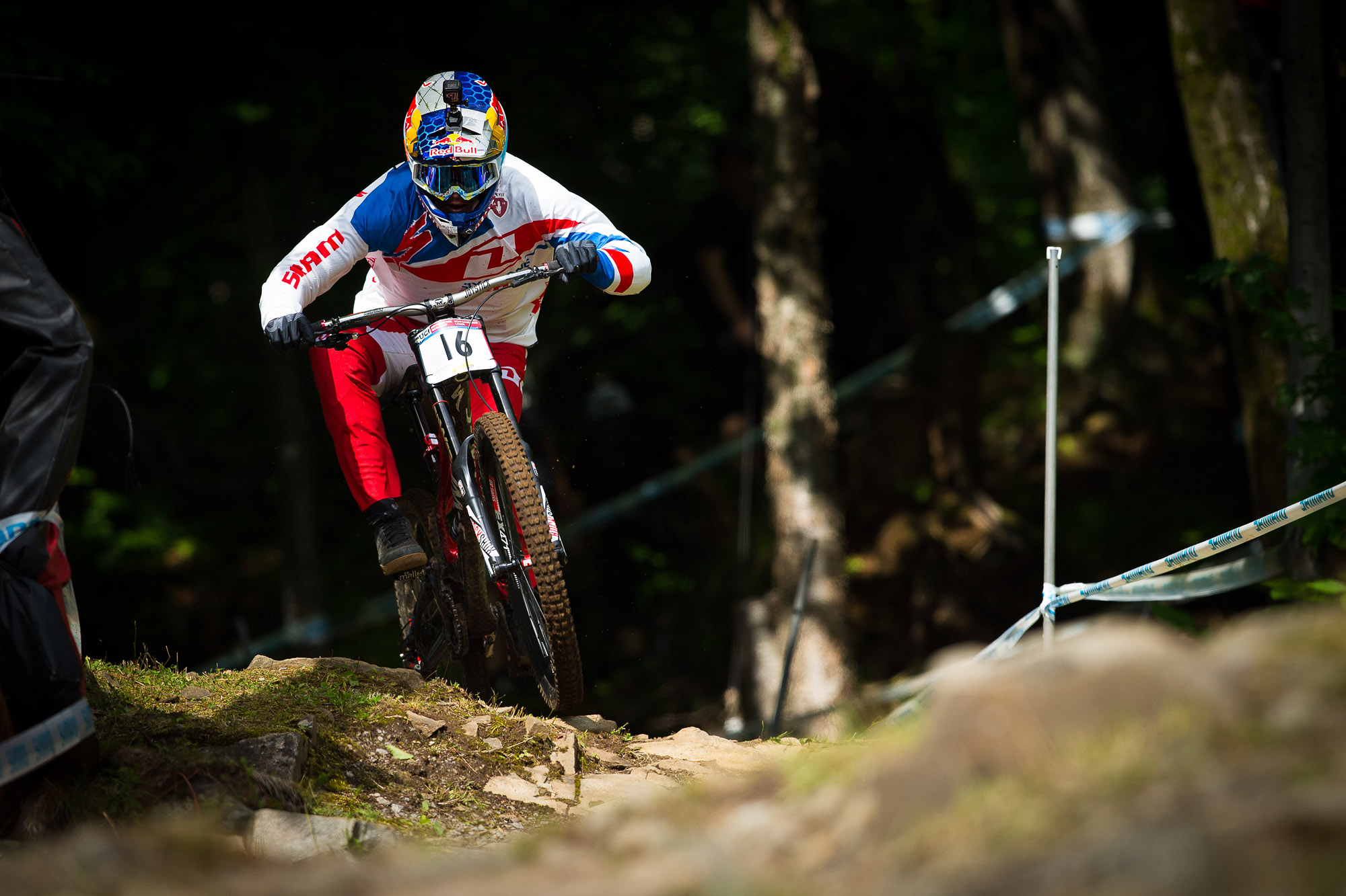 WC_MSA_2016_14_0853_Bruni