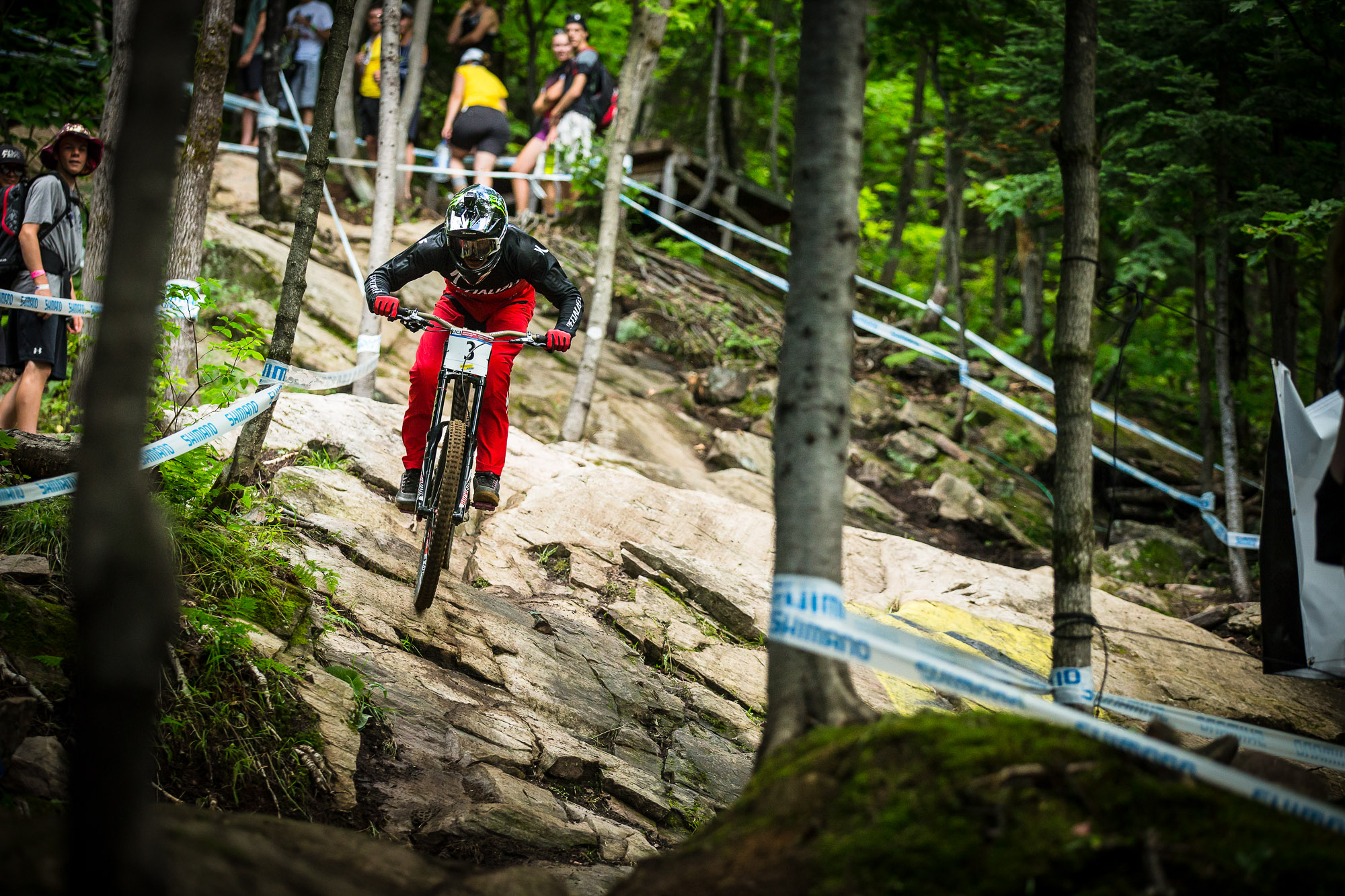 WC_MSA_2016_14_1517_Brosnan