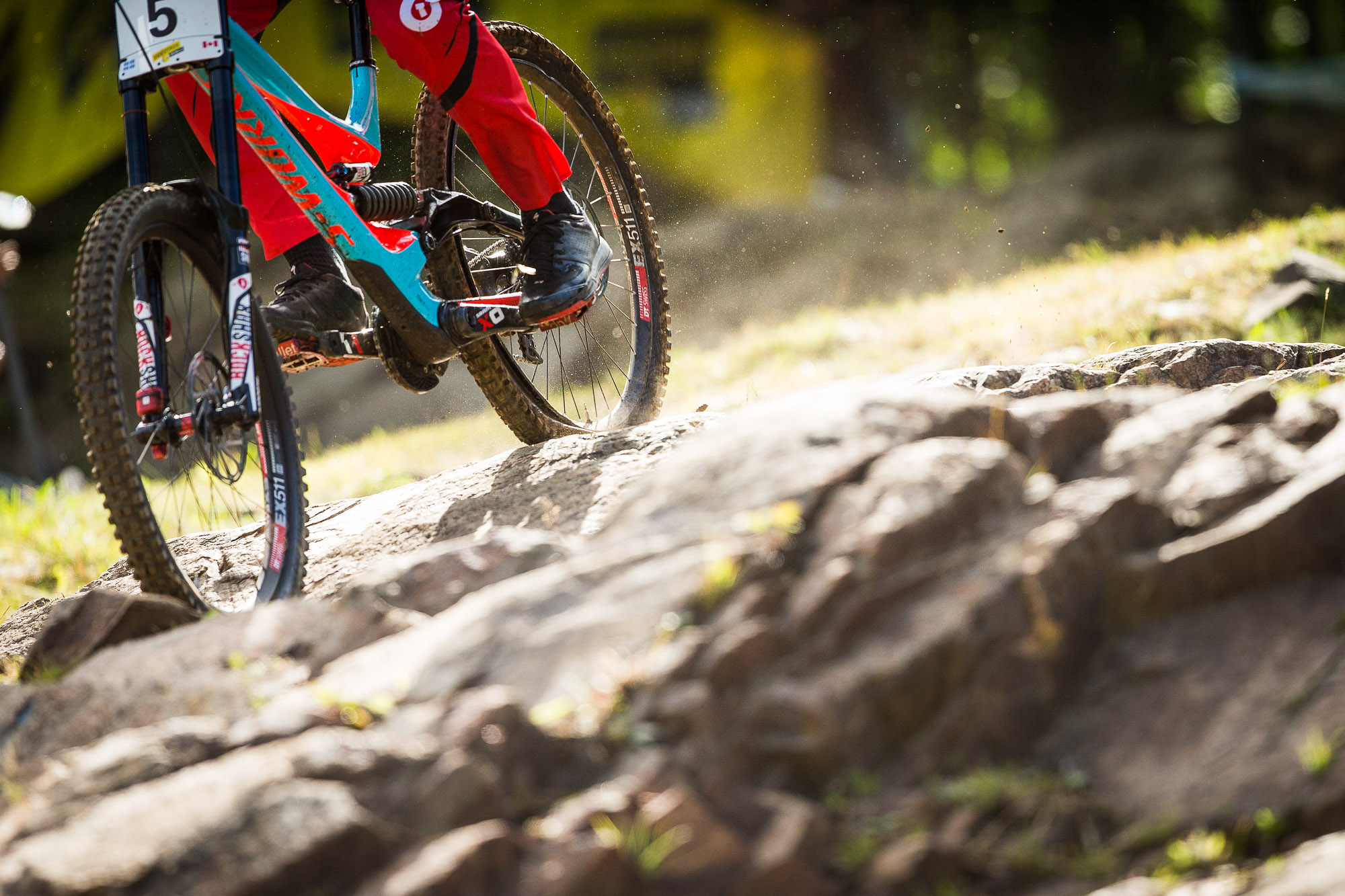 WC_MSA_2016_14_2909_Vergier