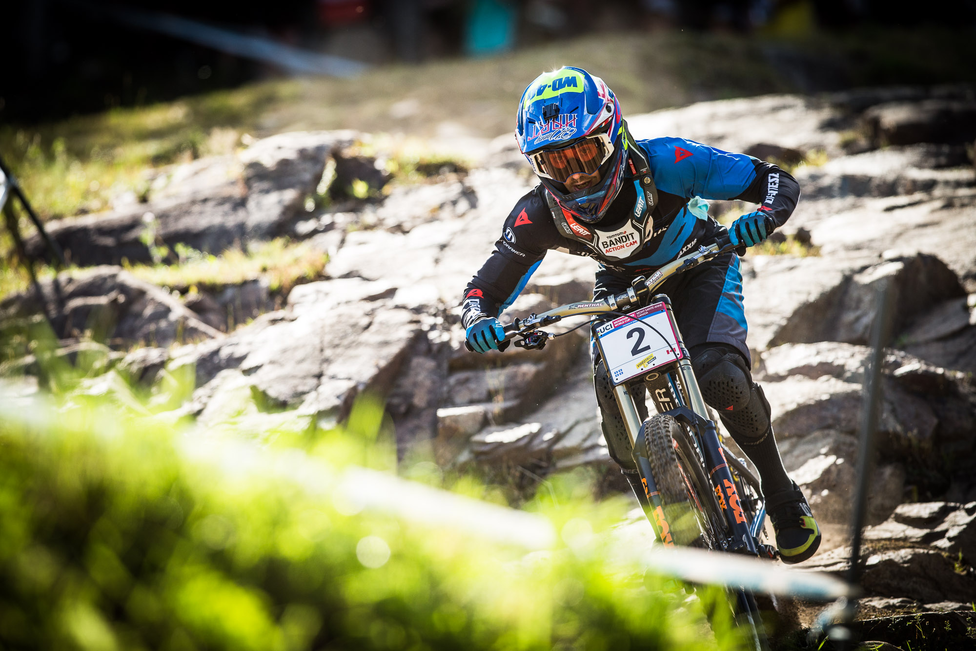 WC_MSA_2016_14_3085_Hart