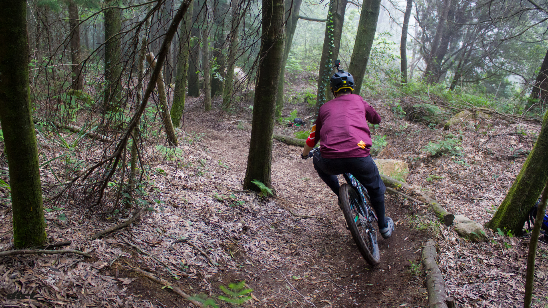 weride2016-0003