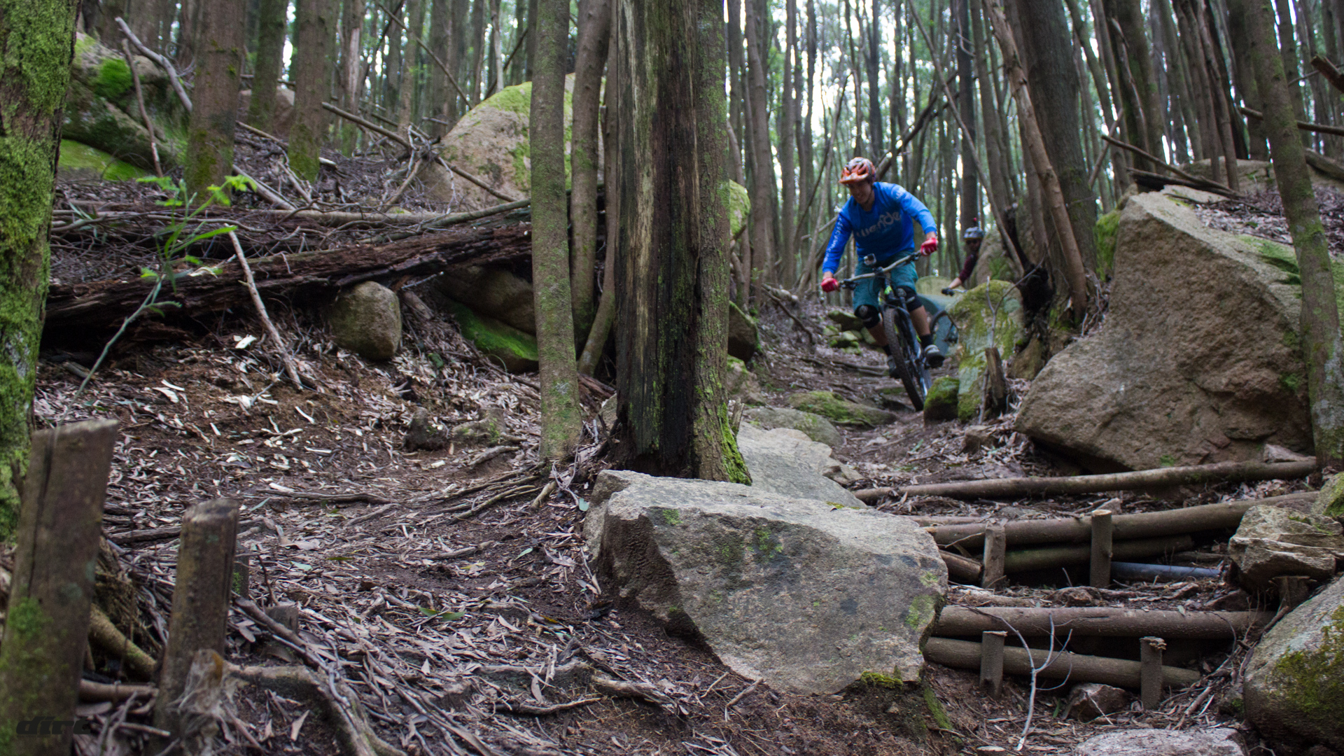 weride2016-0049