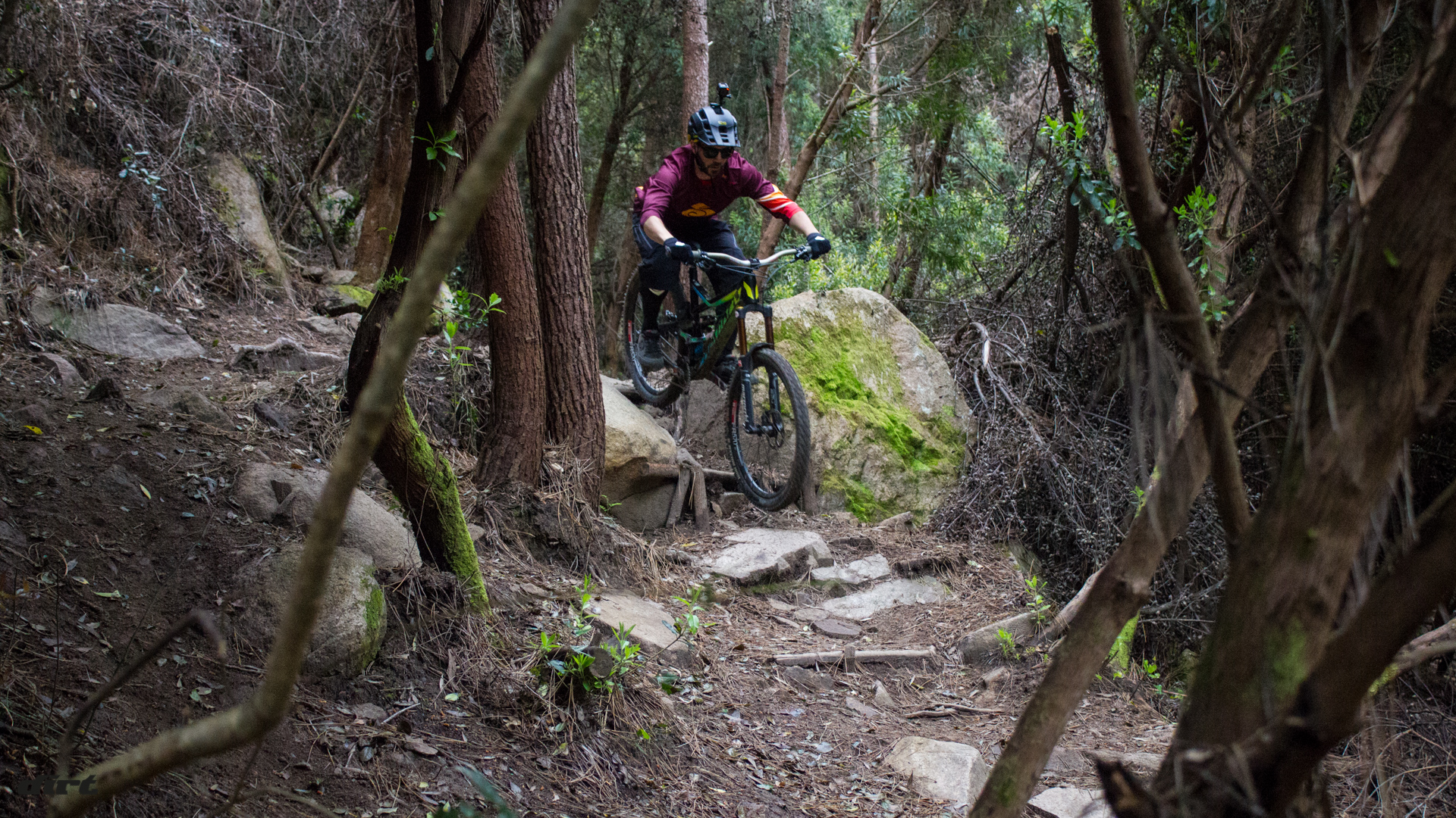 weride2016-0124