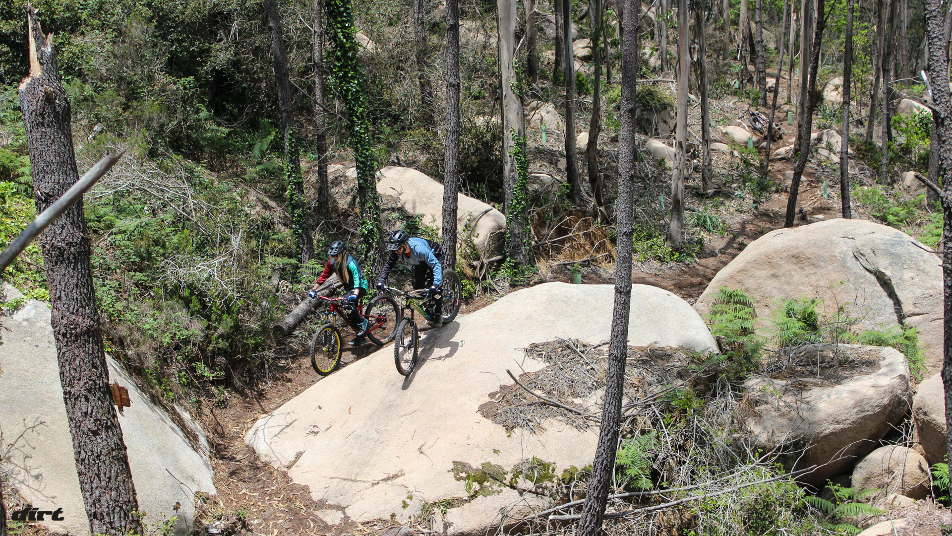 weride2016-2914