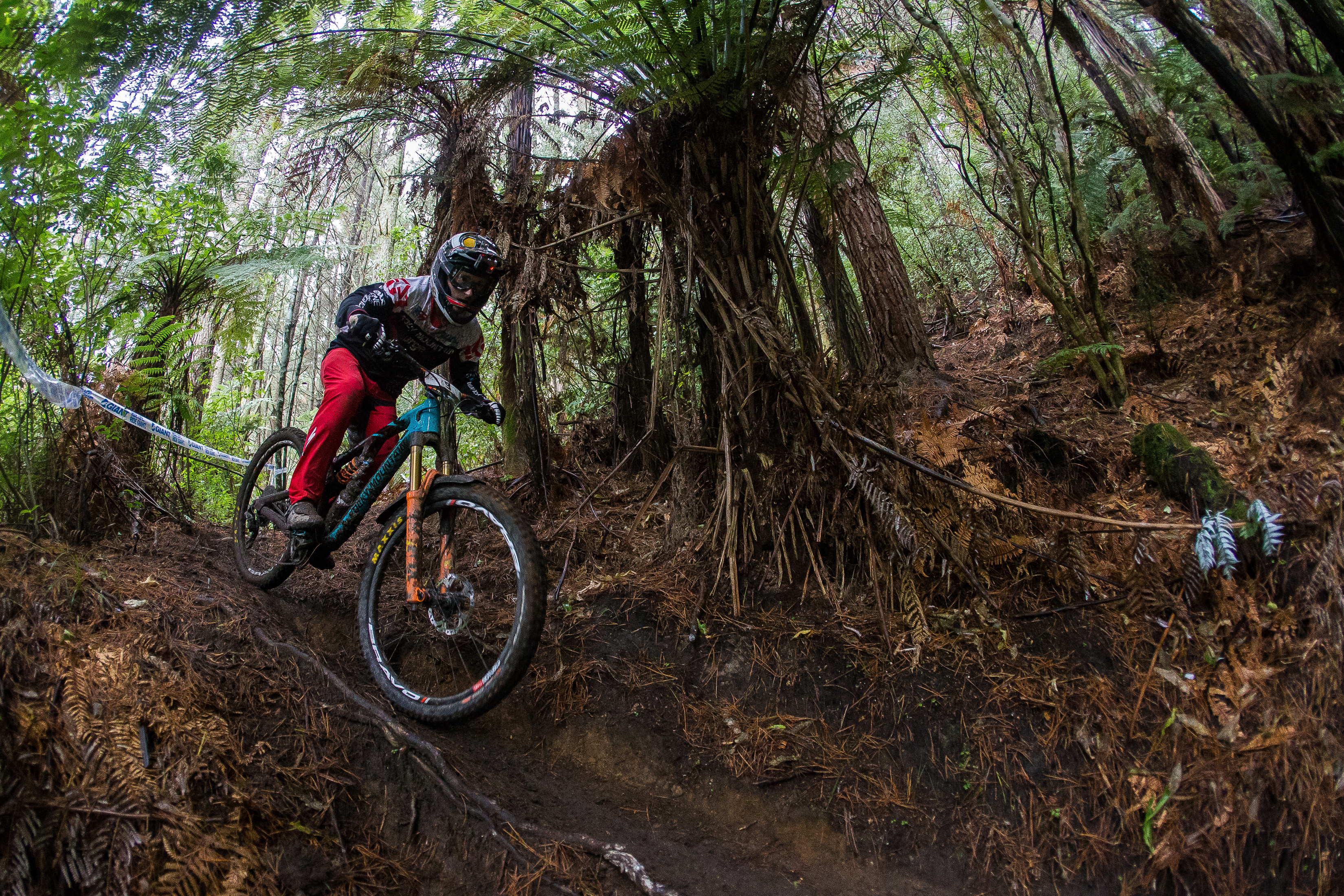 cworx_rotorua_1017_gianttoaenduro_jessemelamed_33620648925_o