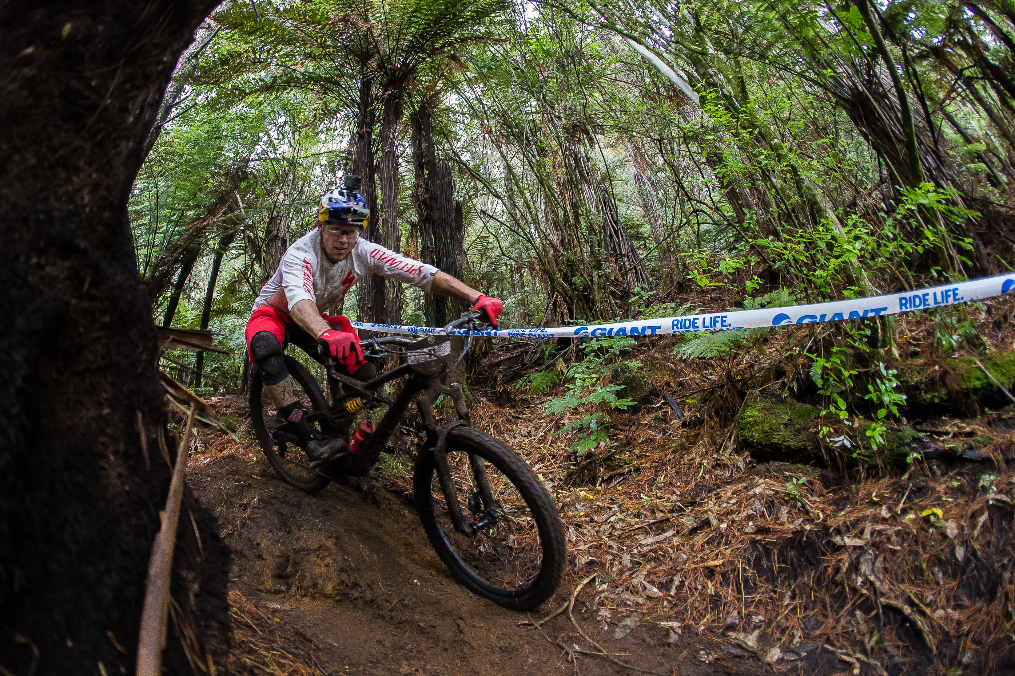 cworx_rotorua_1035_gianttoaenduro_curtiskeene_32778093964_o