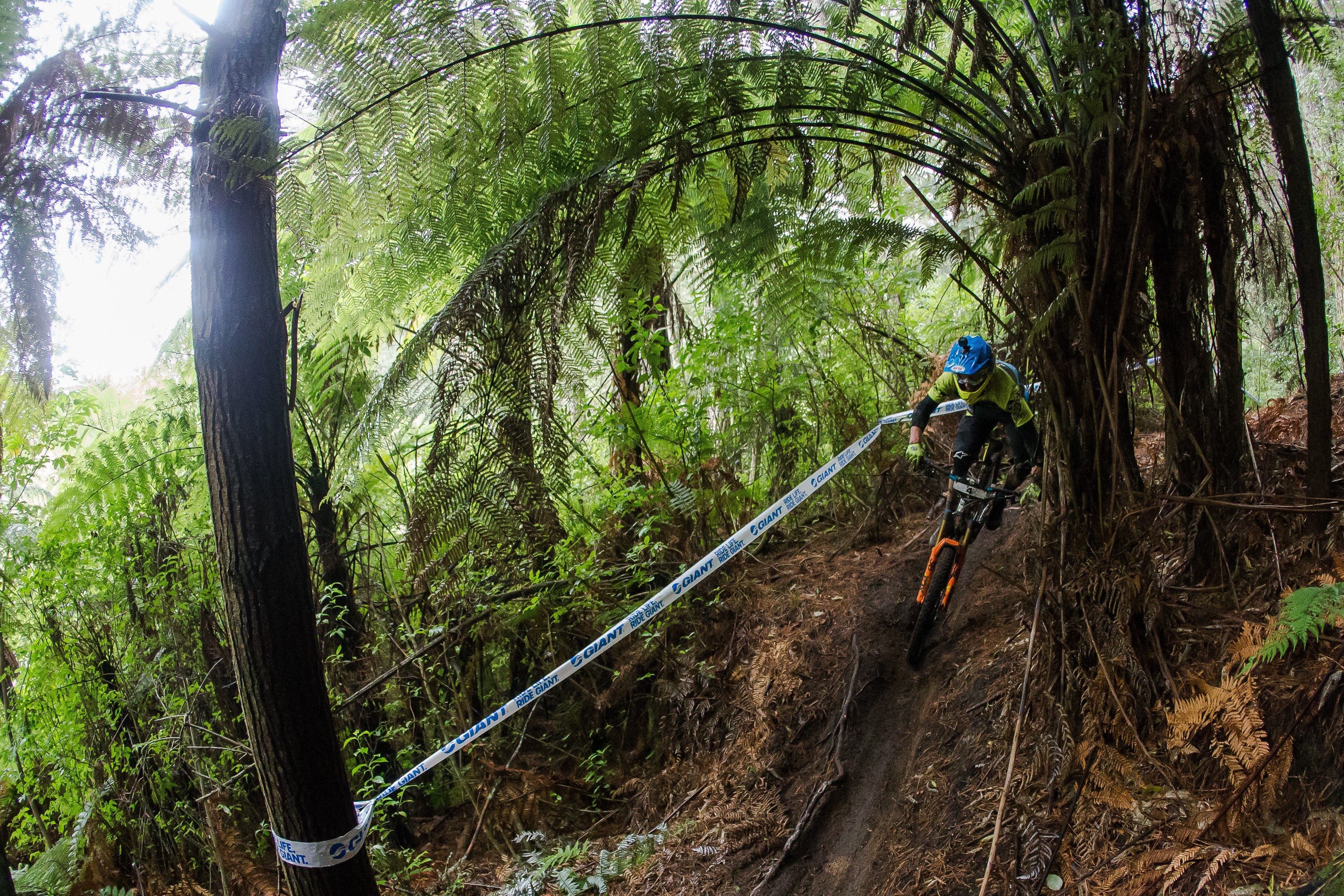 cworx_rotorua_989_gianttoaenduro_martinmaes_33491411971_o