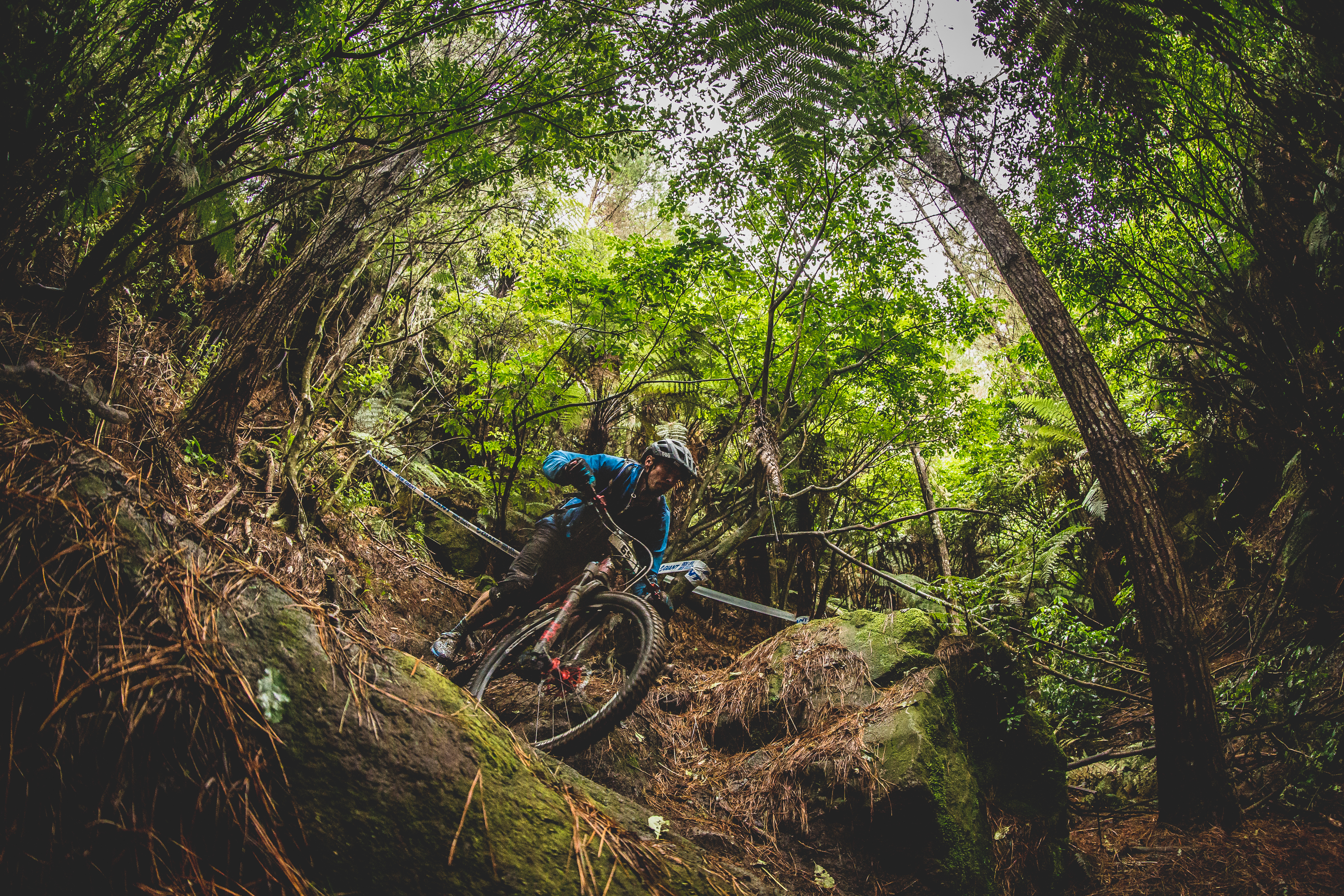 cworx_rotorua_g4a0433_gianttoaenduro_jamie_nicholl_33620719635_o
