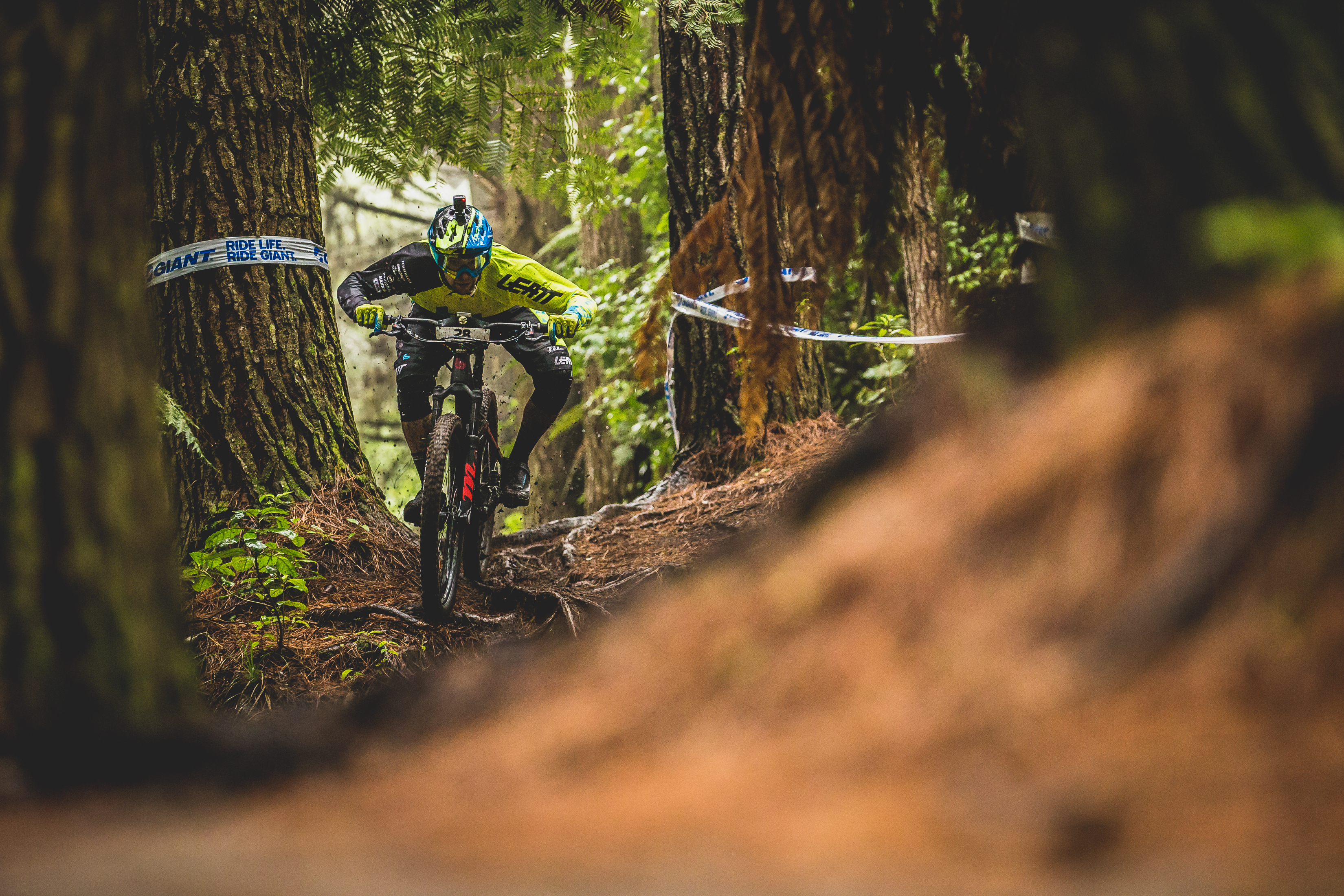 cworx_rotorua_n3x1787_gianttoaenduro_joenation_32778090324_o