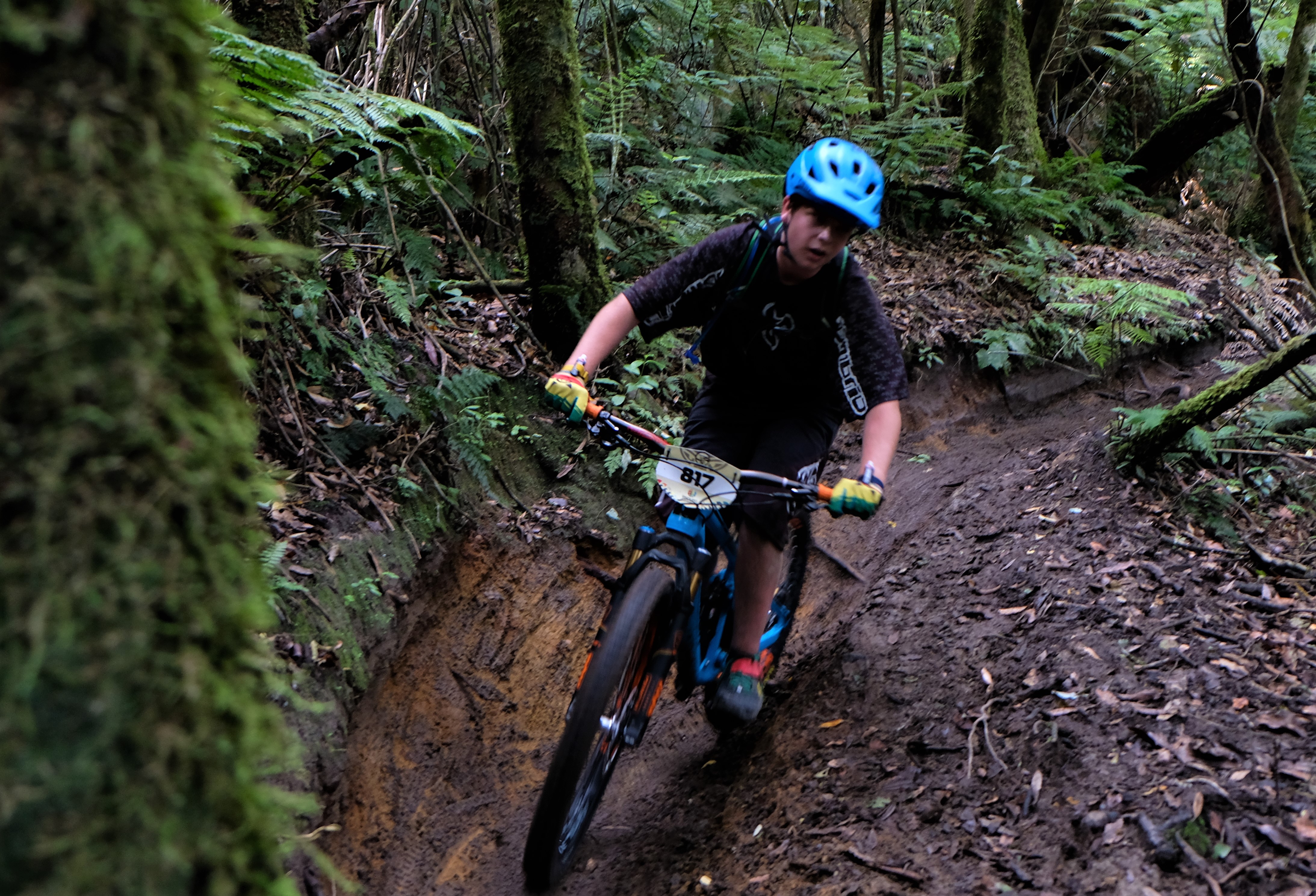 giant-toa-enduro-challenger_32794768304_o