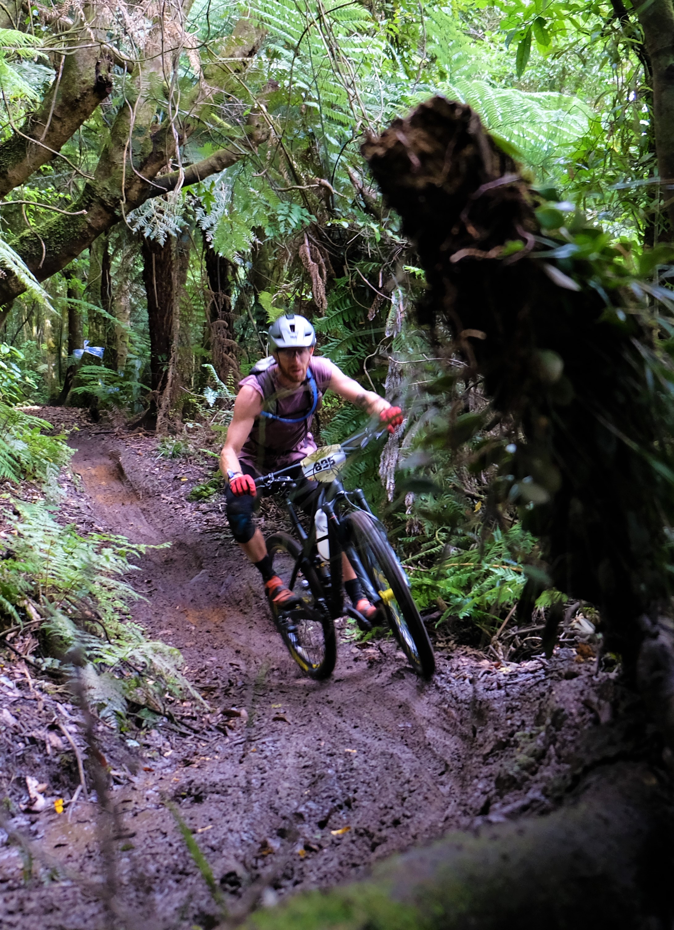 giant-toa-enduro-challenger_32794770084_o