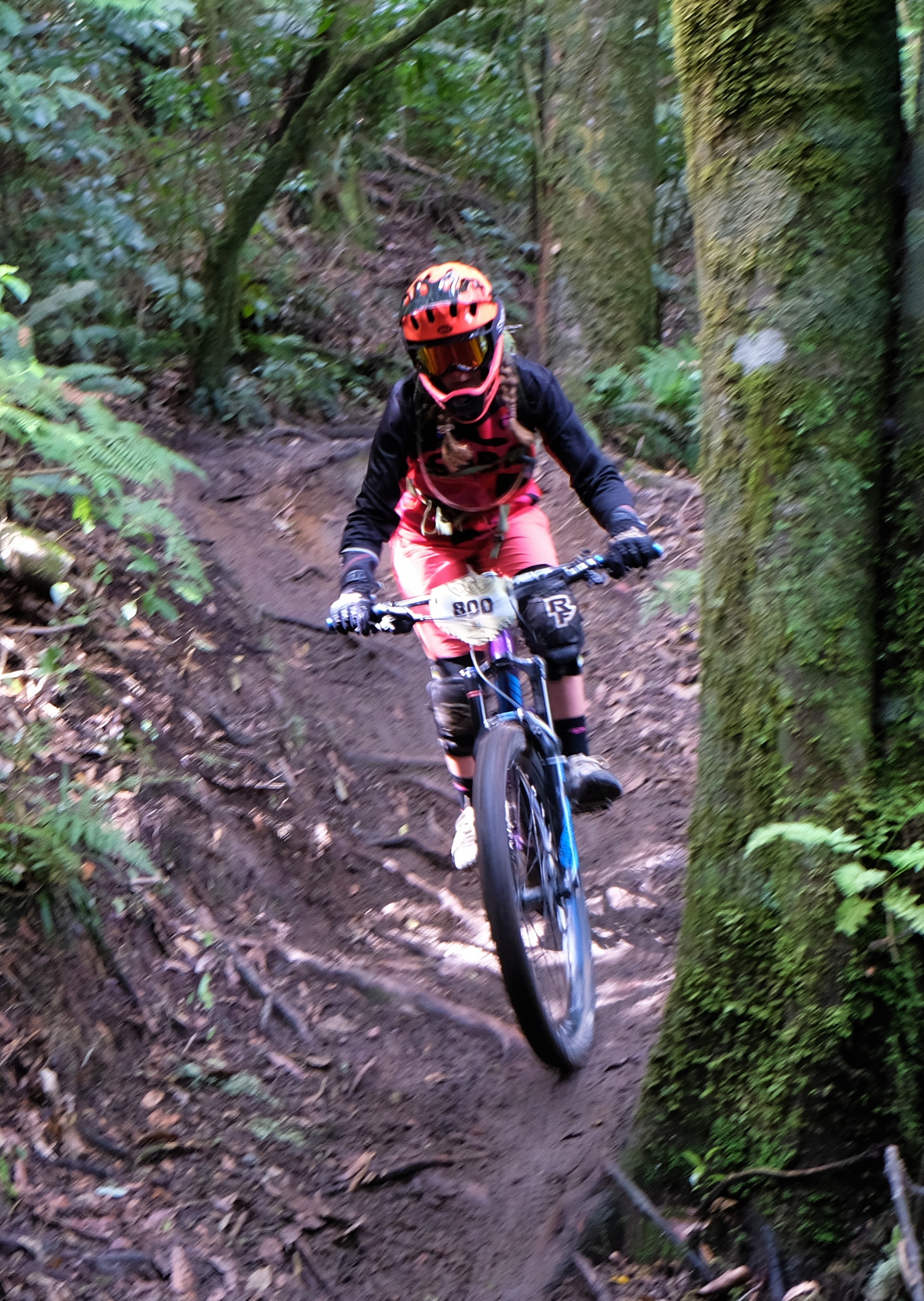 giant-toa-enduro-challenger_32794771364_o