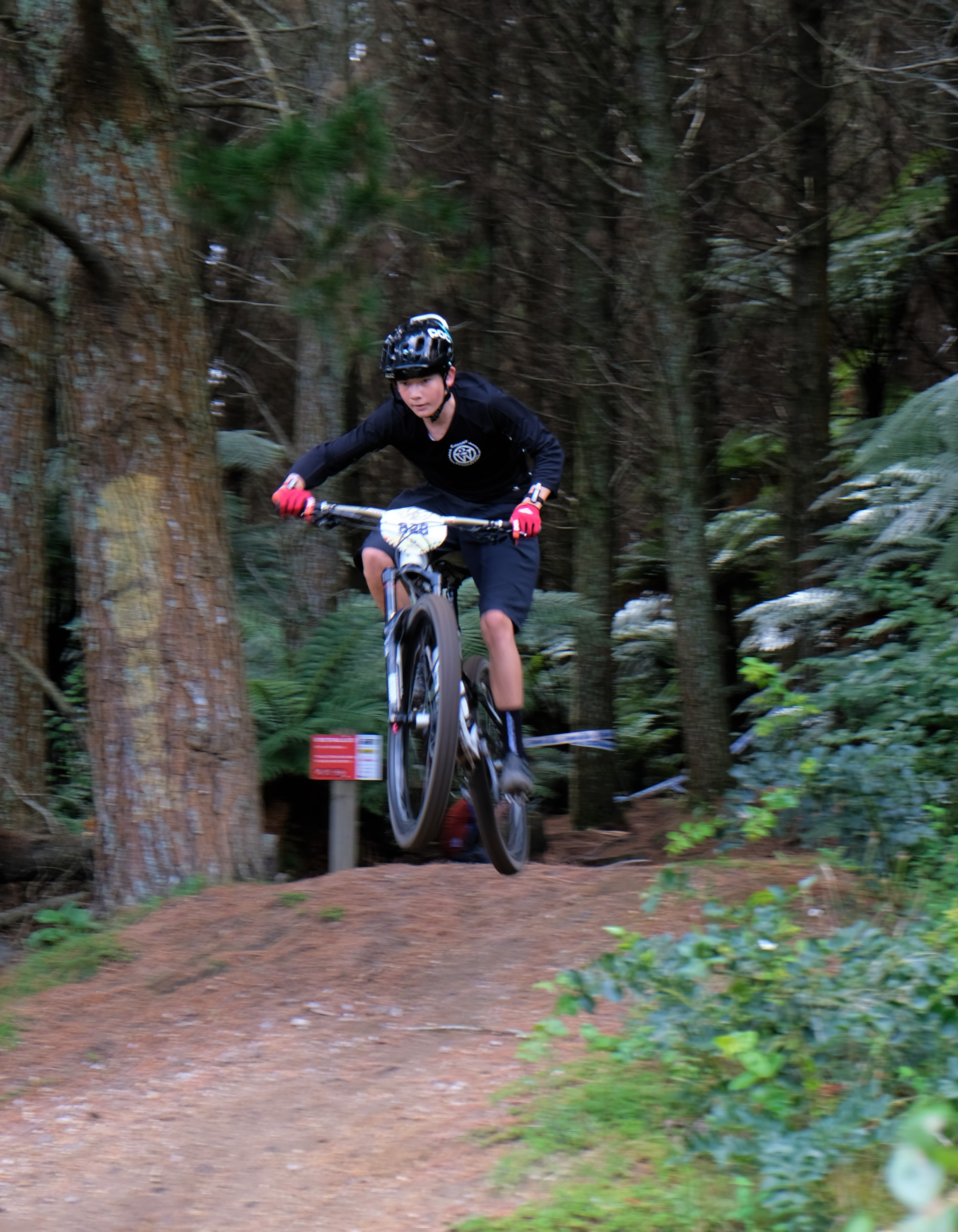 giant-toa-enduro-challenger_32794775234_o